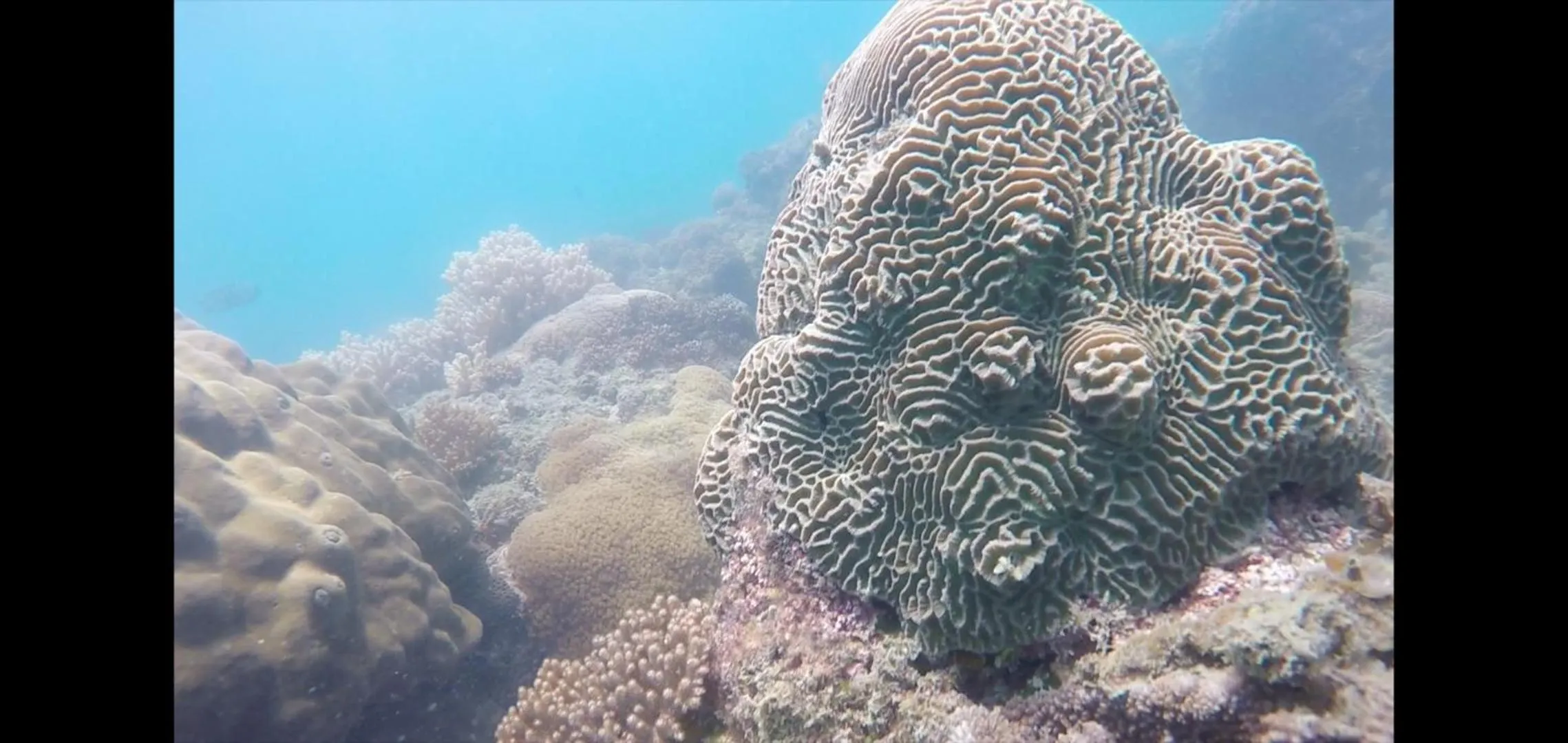 Beach in Penthouse Crystal Bay Apartments