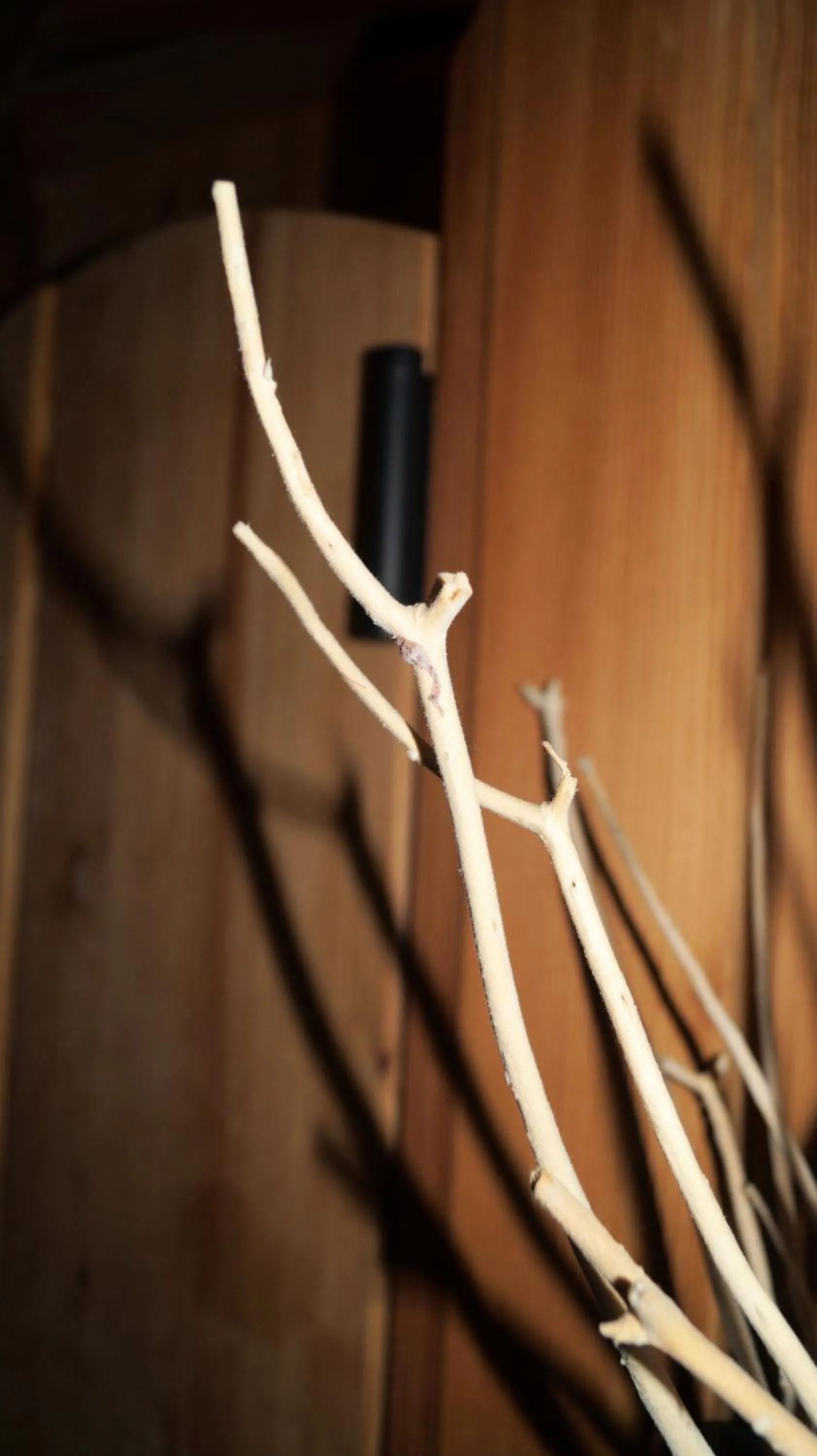 Other in Villa Anina