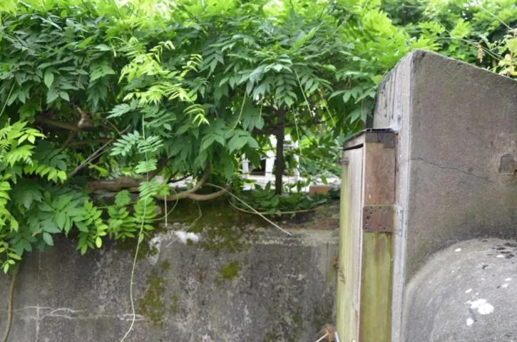 Other in B&B 't Withuis