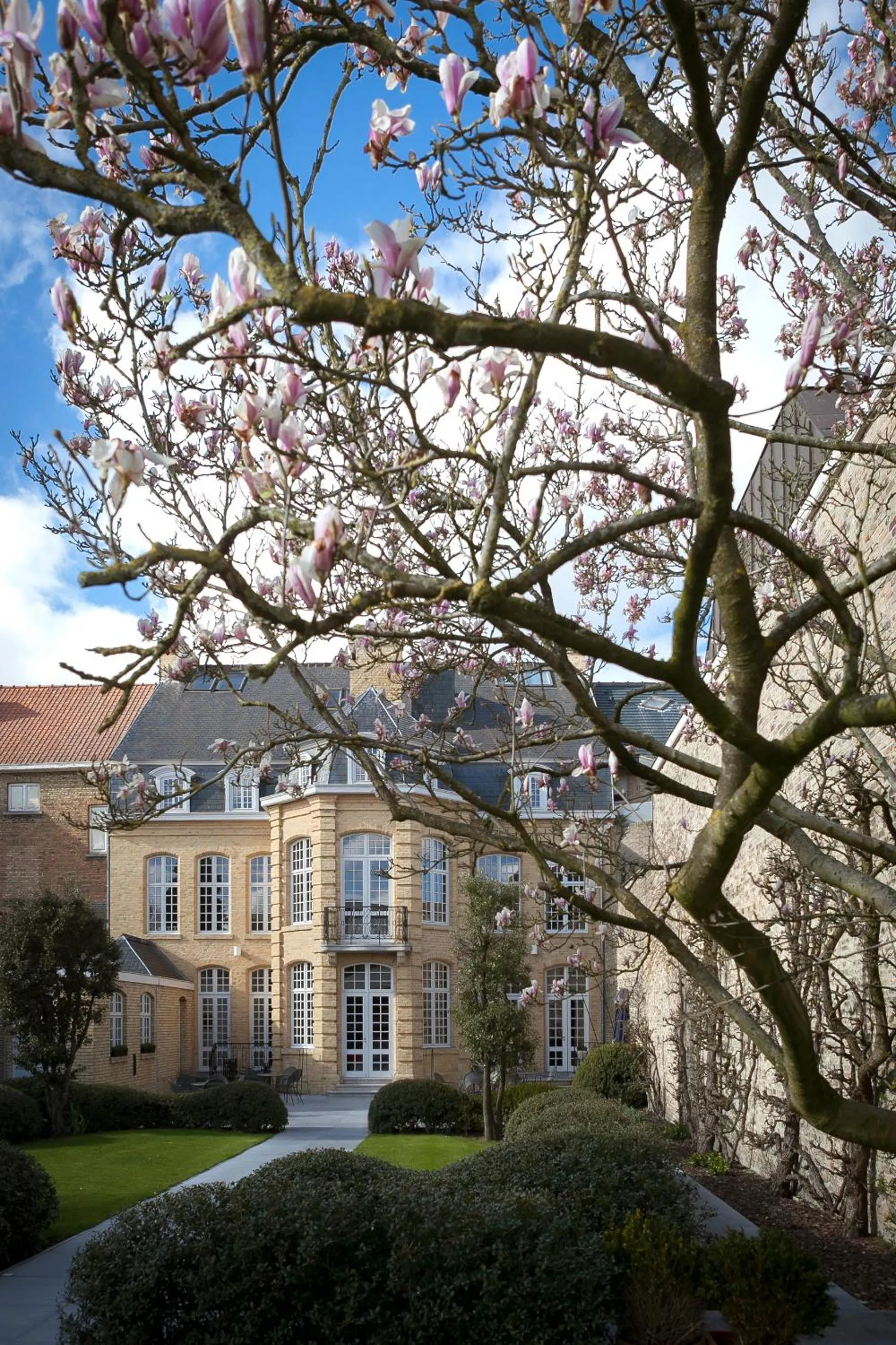 Spring in B&B 't Withuis