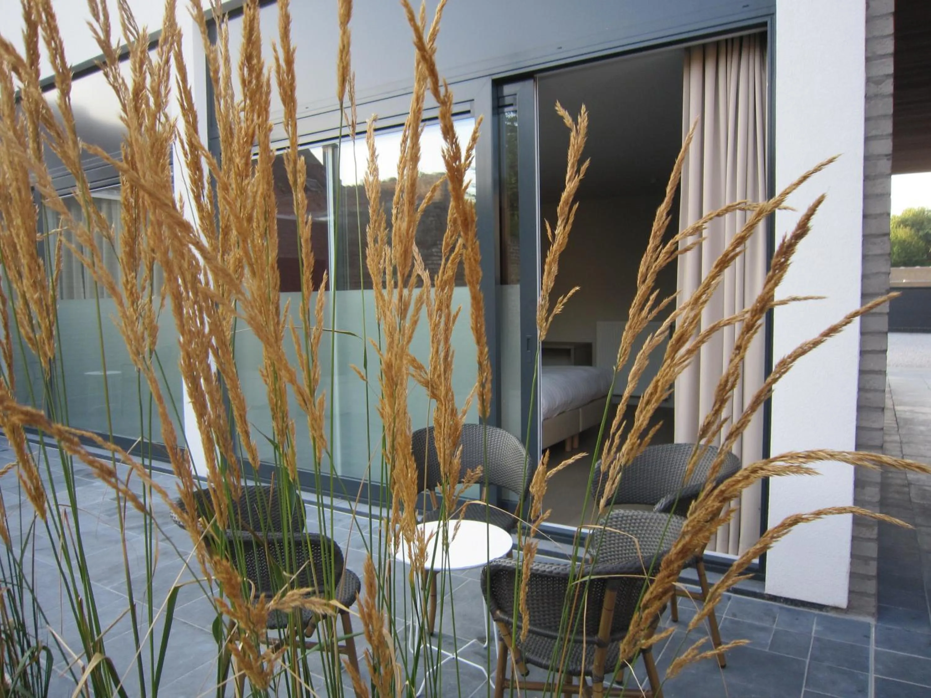 Patio in B&B 't Withuis