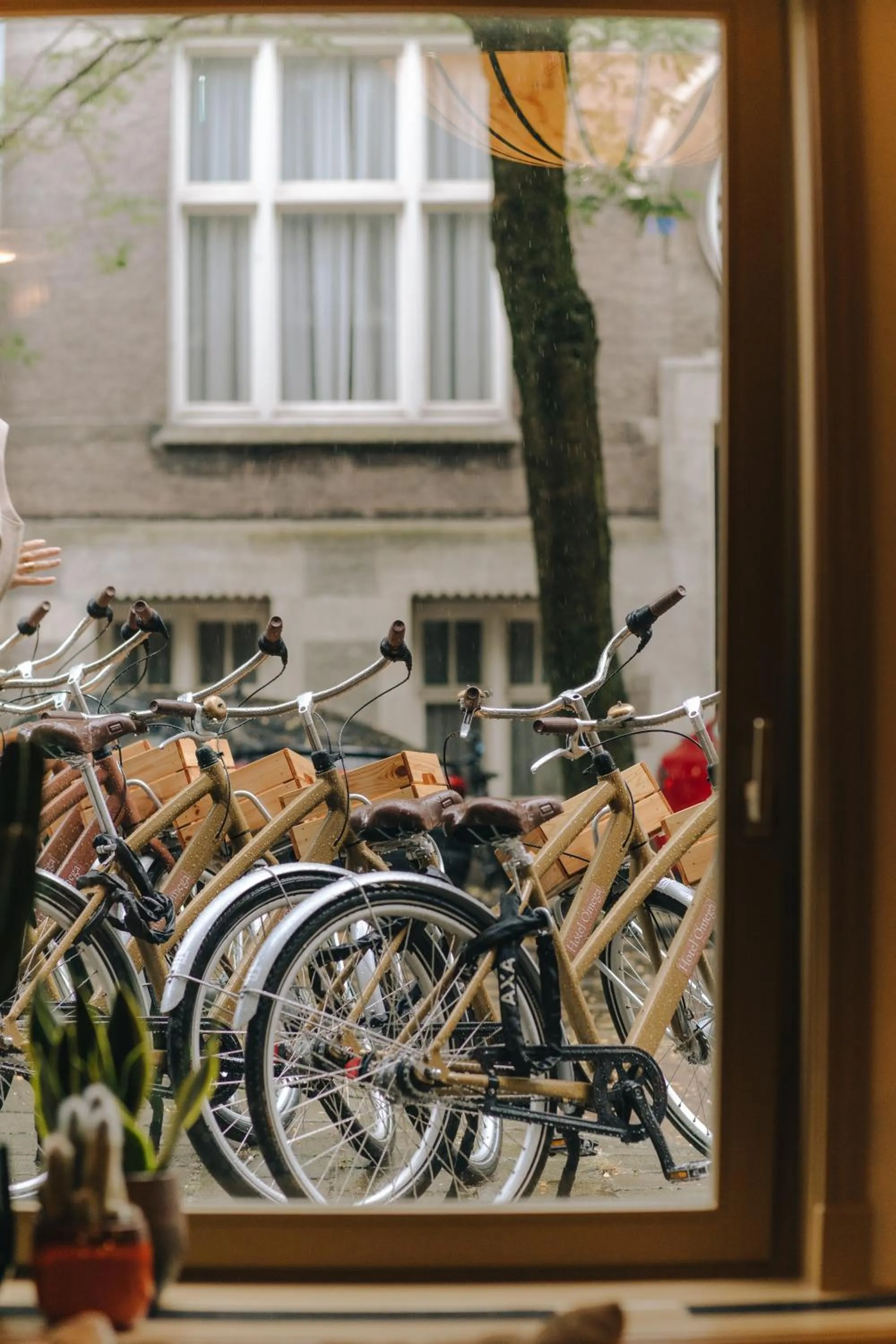 Cycling in Hotel Omega