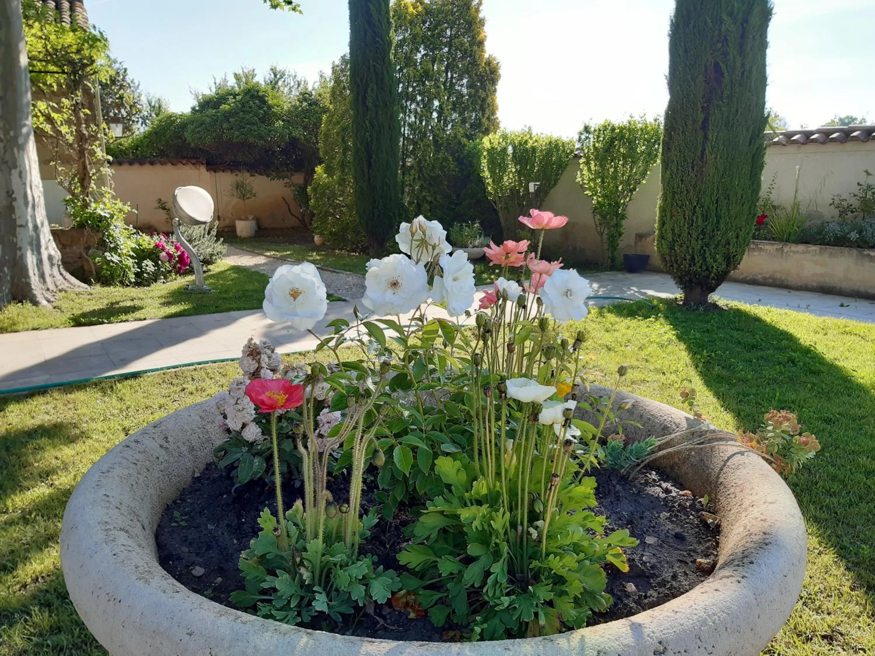 Patio in LE MAS DES FLANERAIES