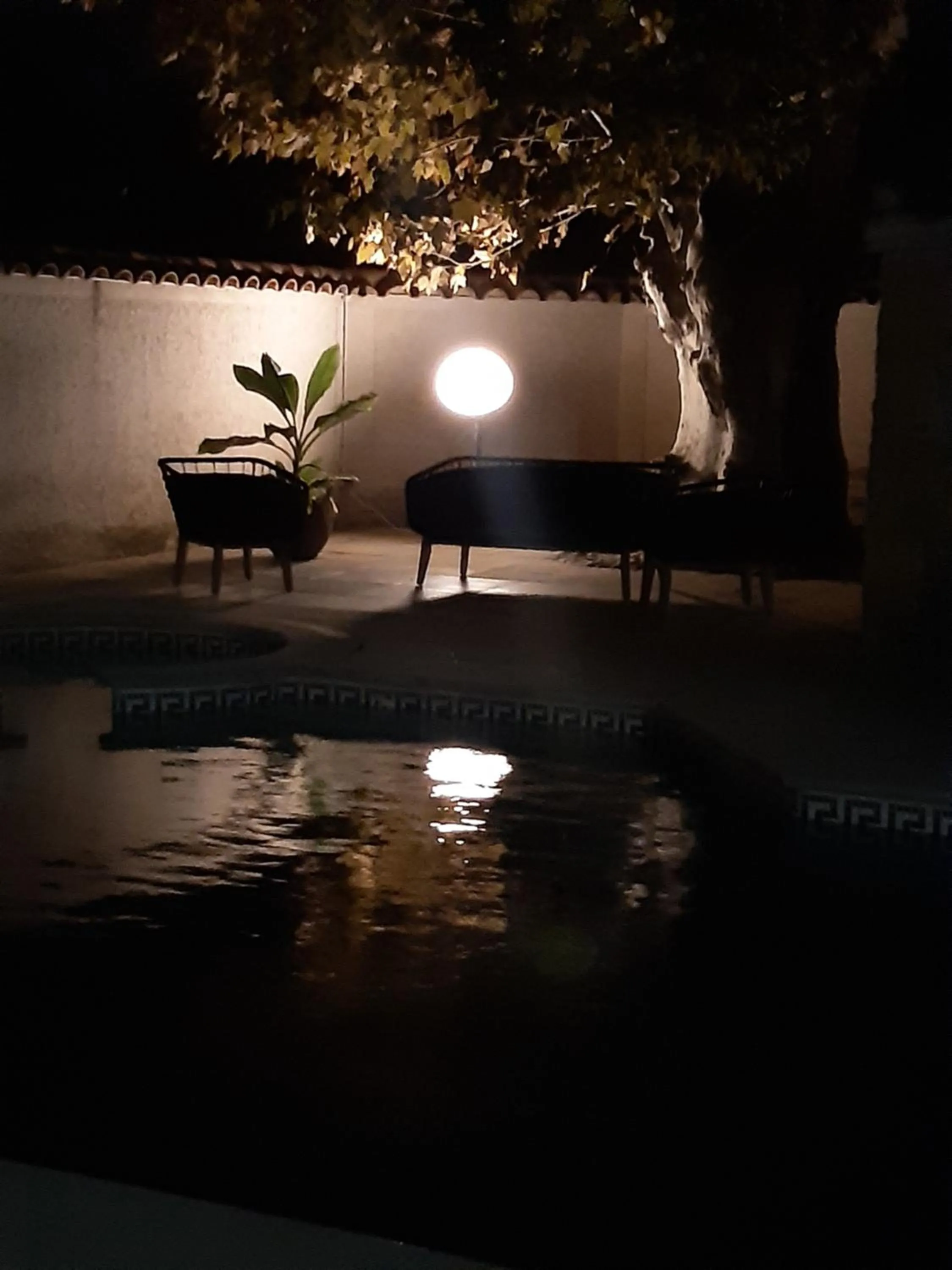 Garden in LE MAS DES FLANERAIES