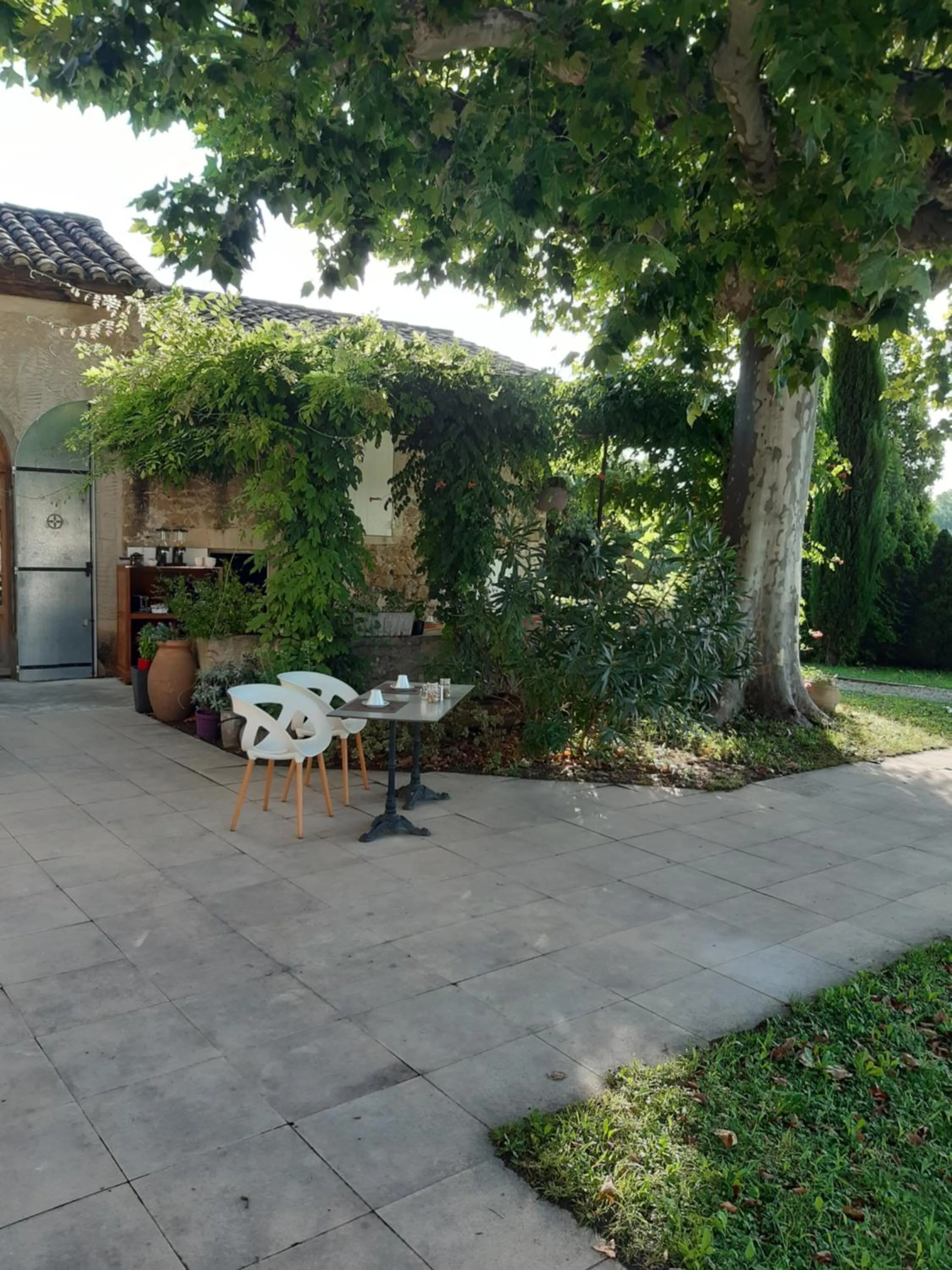 Patio in LE MAS DES FLANERAIES