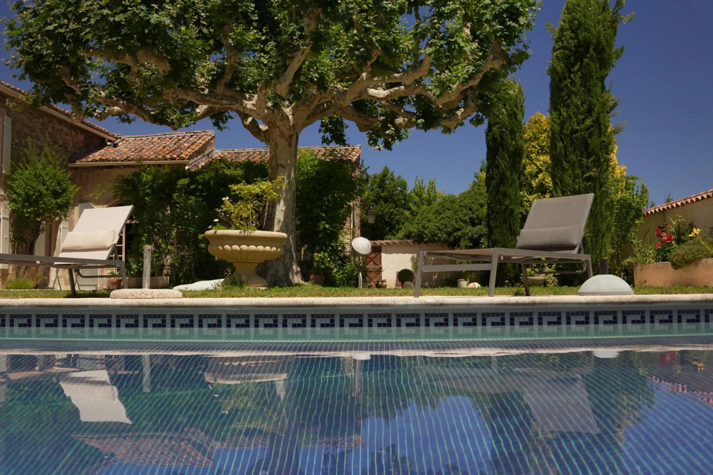 Garden in LE MAS DES FLANERAIES