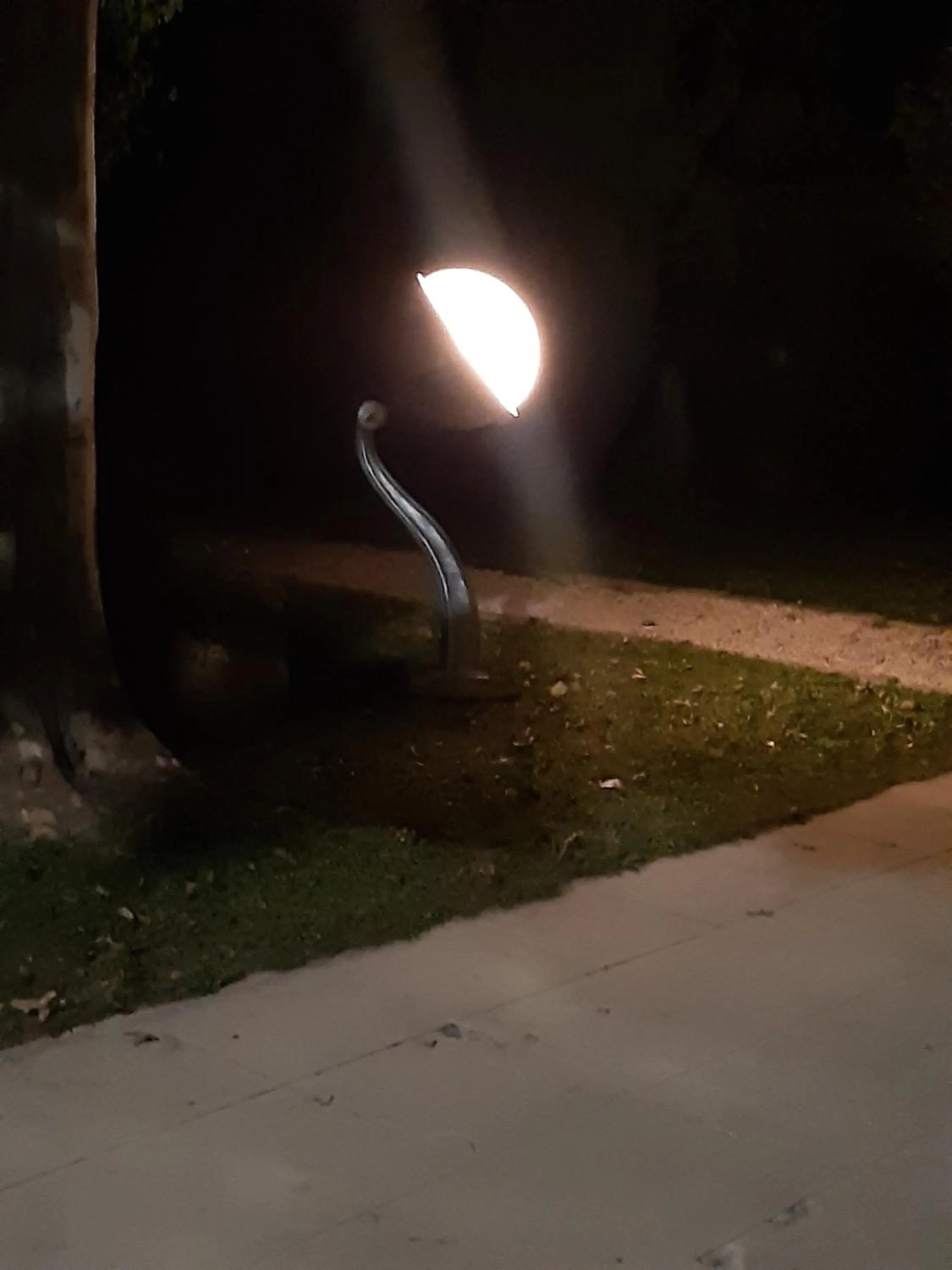 Garden in LE MAS DES FLANERAIES