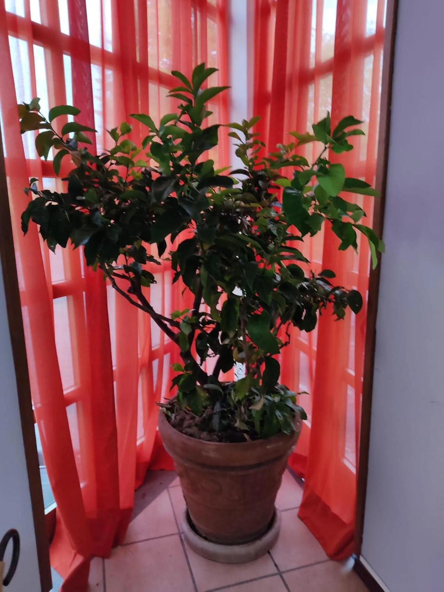 Lobby or reception in Hotel La Vela