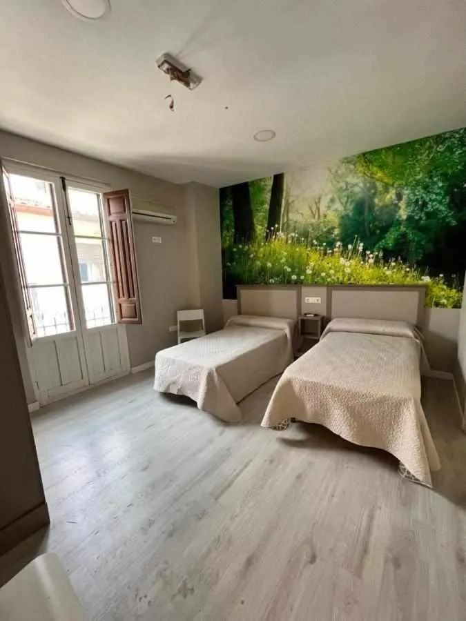 Bed in Hostal Viena Plaza Nueva