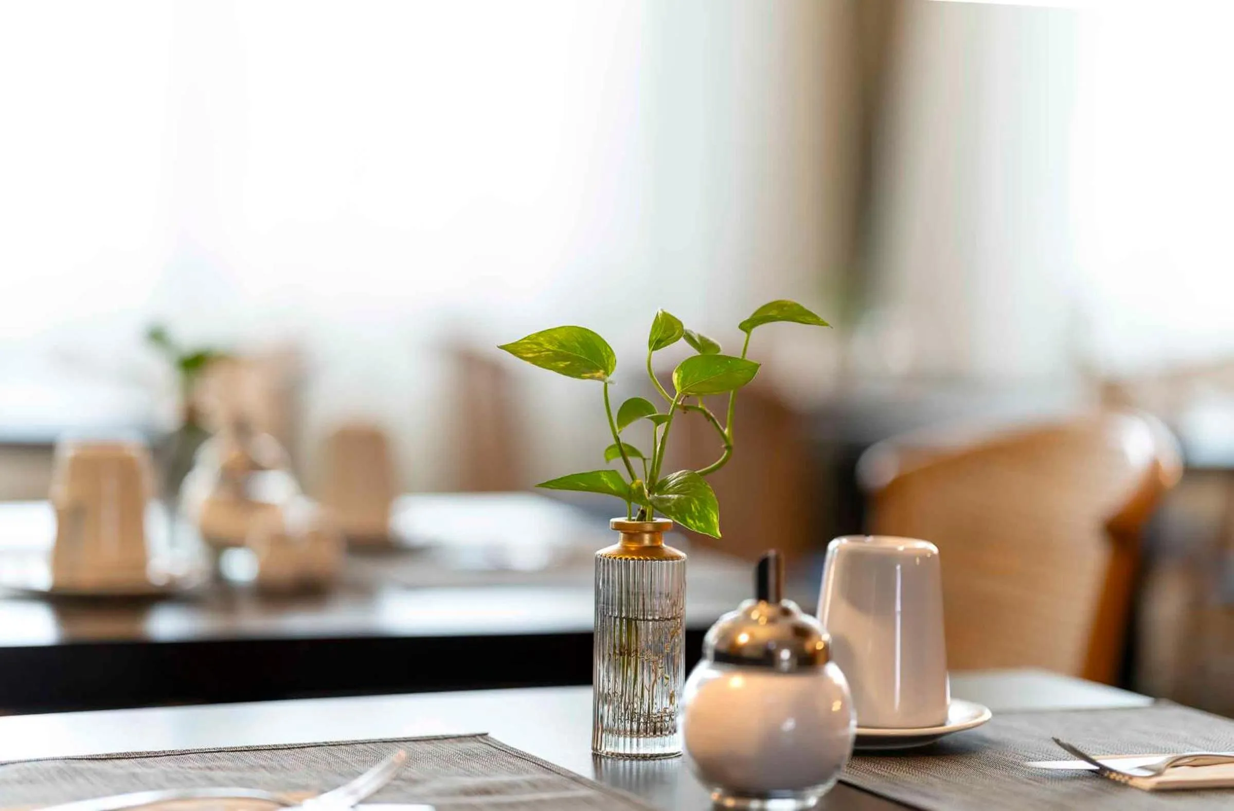 Breakfast in PLAZA INN Blankenburg Ditzingen, Sure Hotel Collection