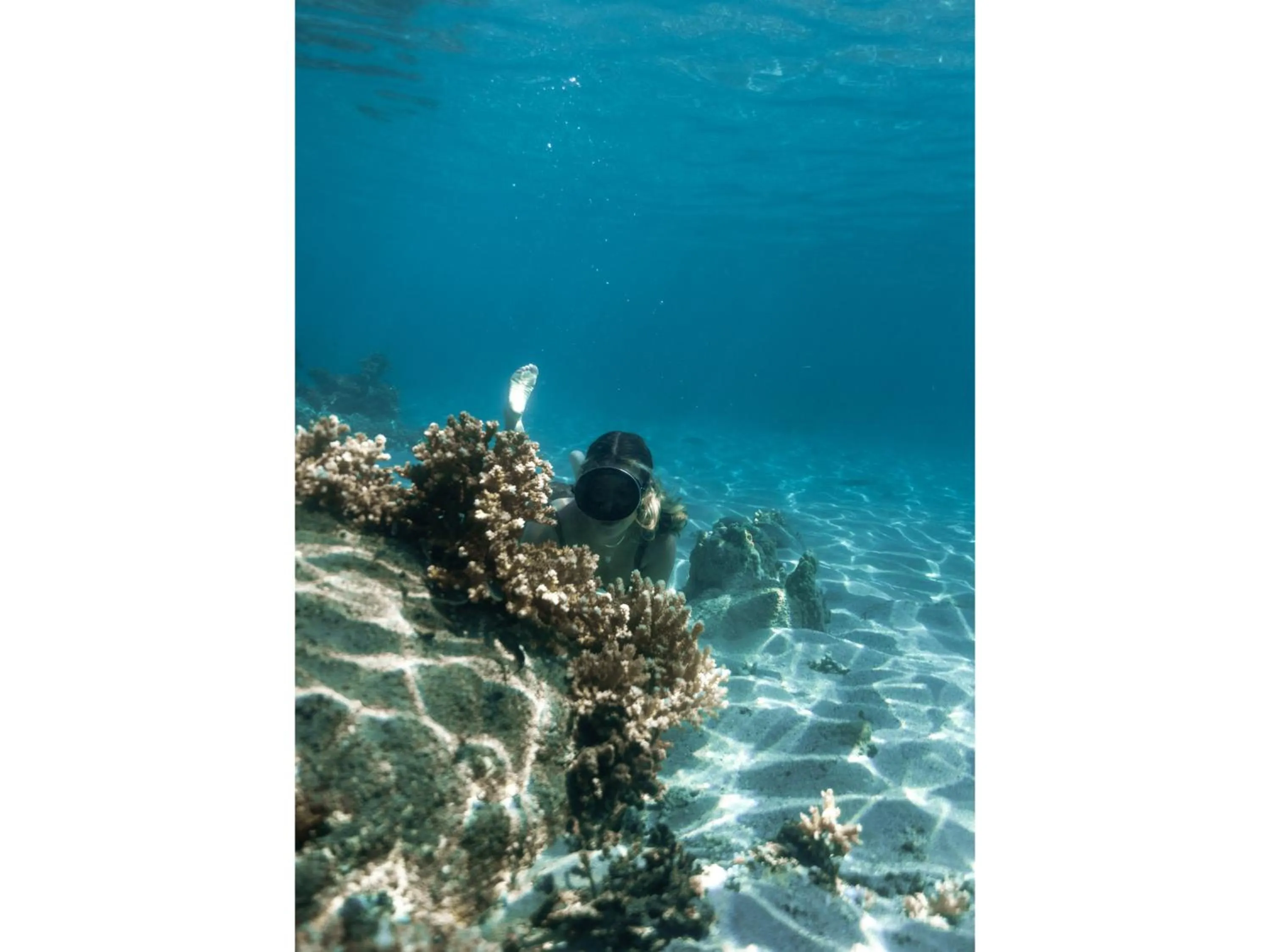 Activities in Catalina's Hideaway