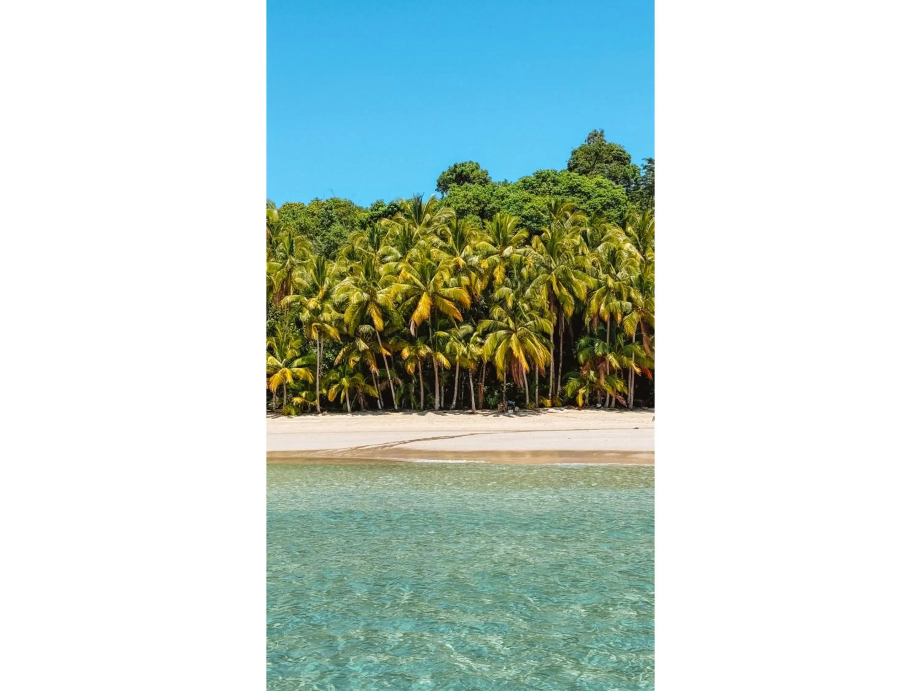 Activities in Catalina's Hideaway