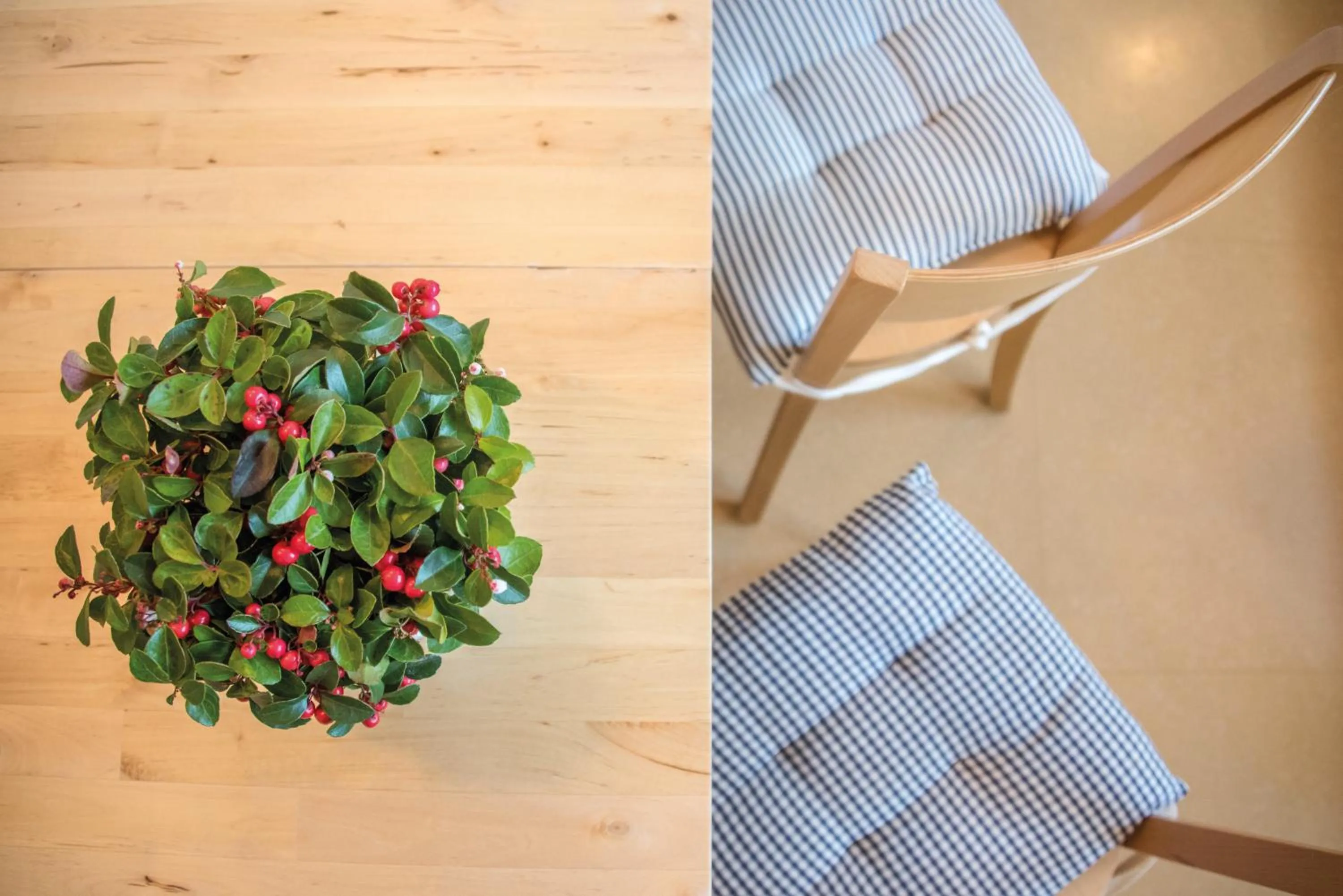 Apparthotel Feldhof - Living and Bistro