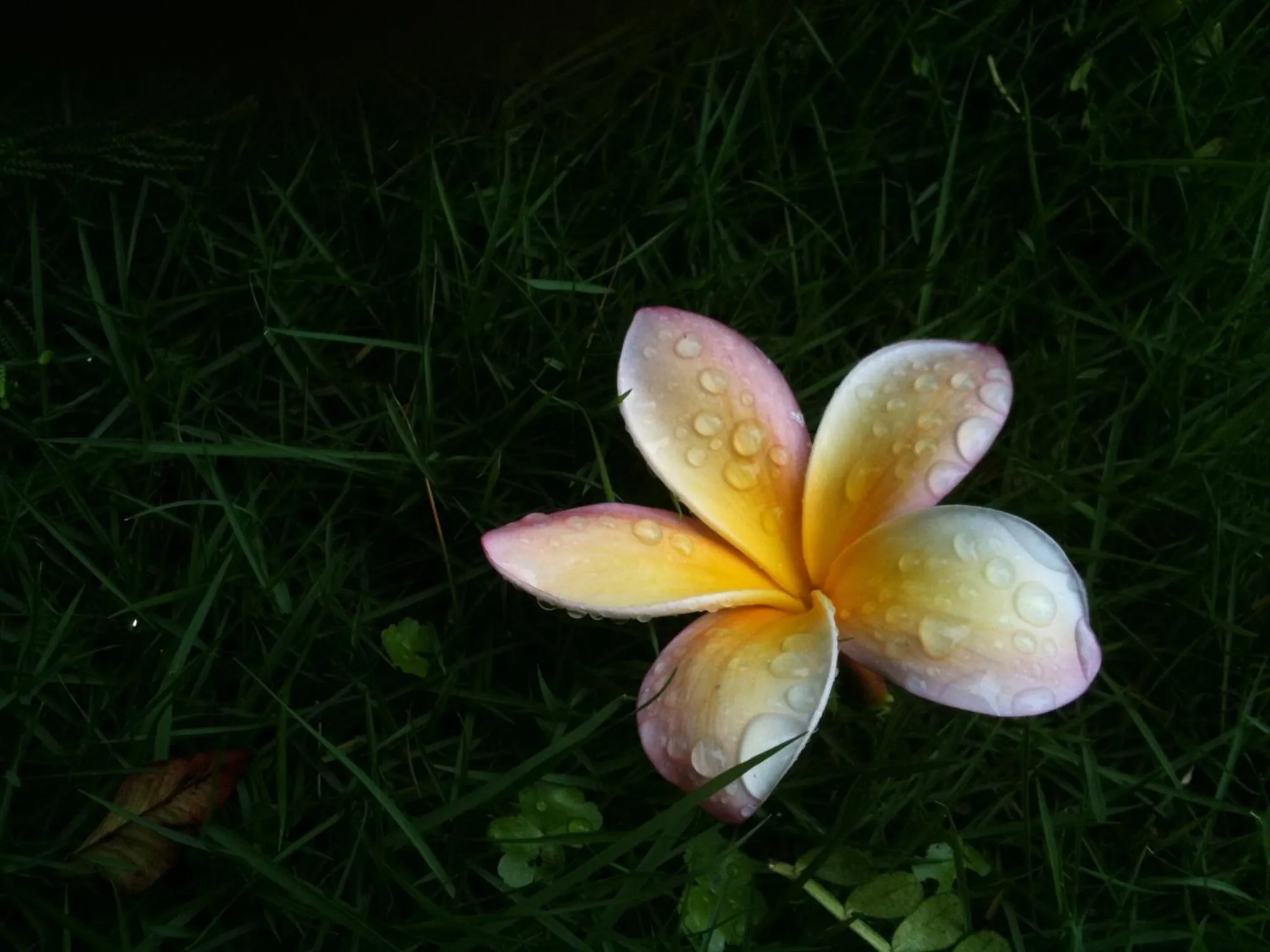 View (from property/room) in Pokara Resort