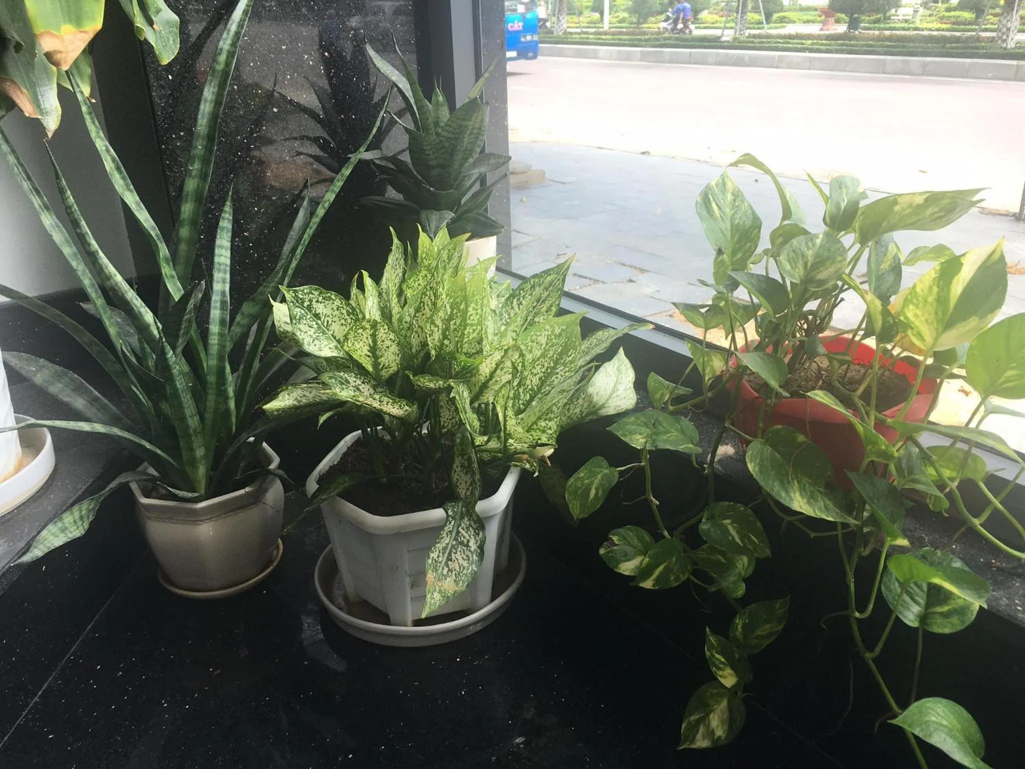 Patio in Ocean View Quy Nhon Hotel