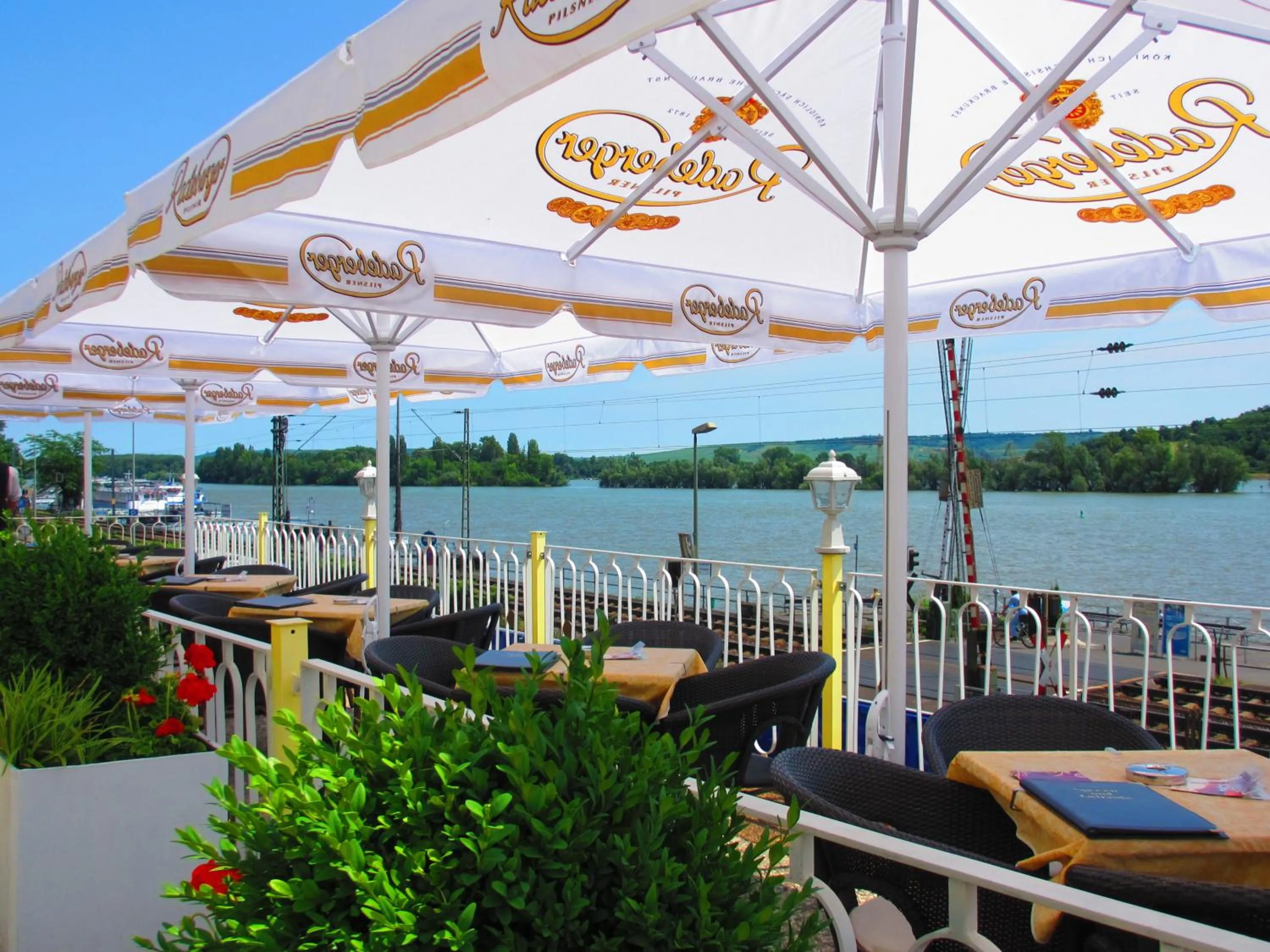 Restaurant/places to eat in Park Hotel Rüdesheim