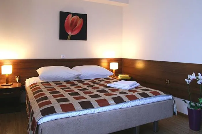 Bed in Sanatorium Stefan