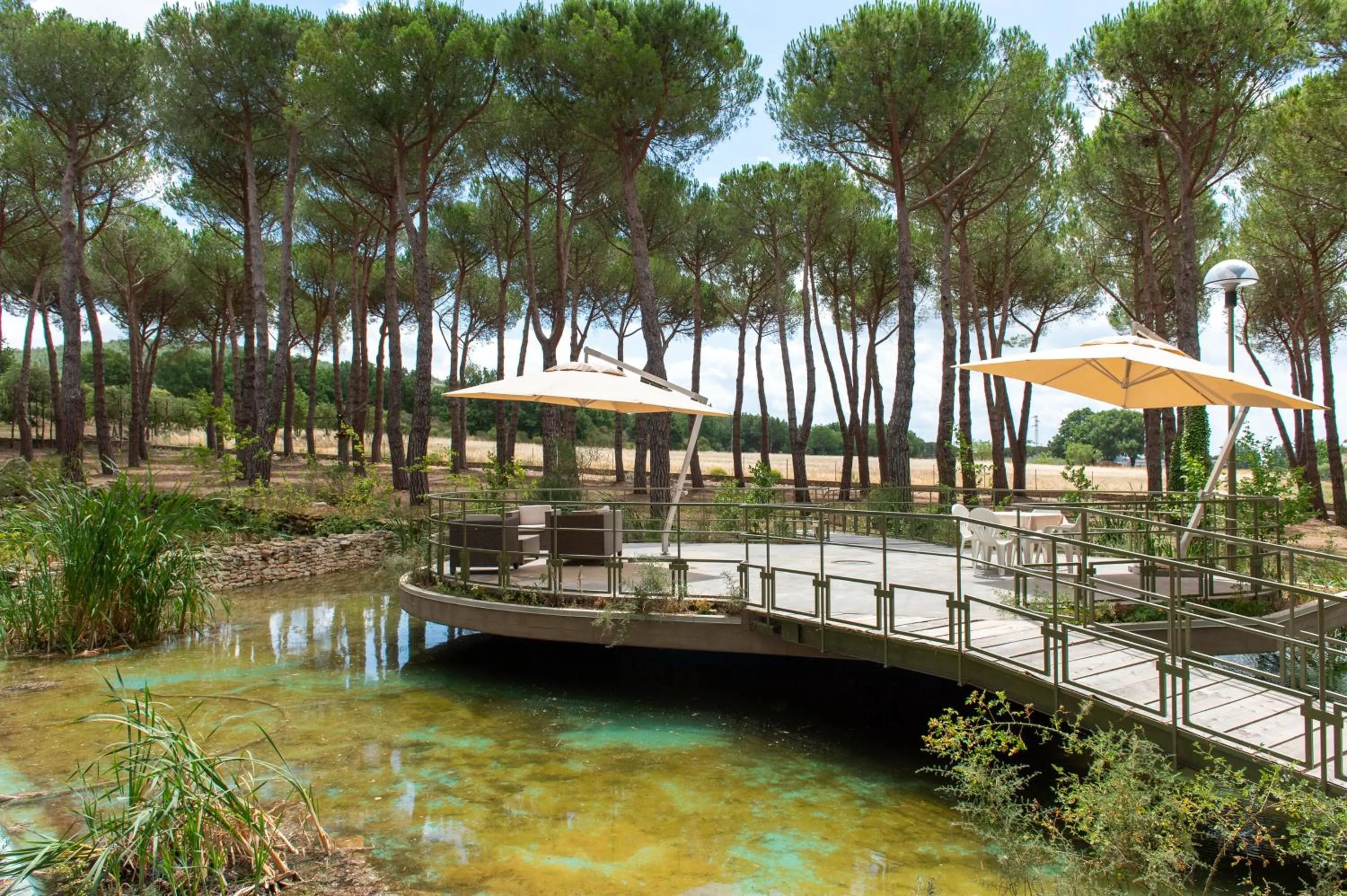 Garden in Hotel Villa dei Pini
