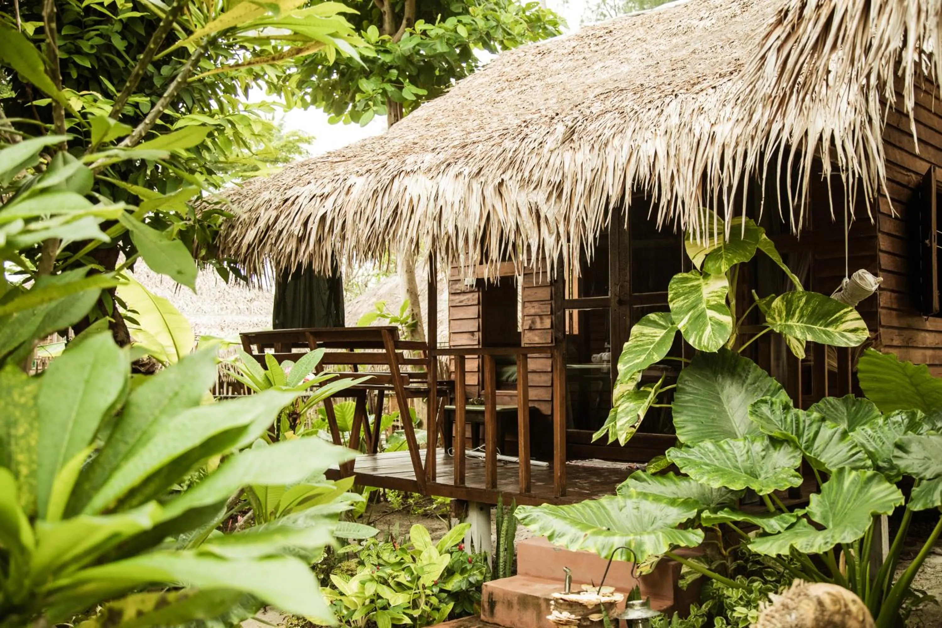 Garden view in Hideaway, Koh Lipe