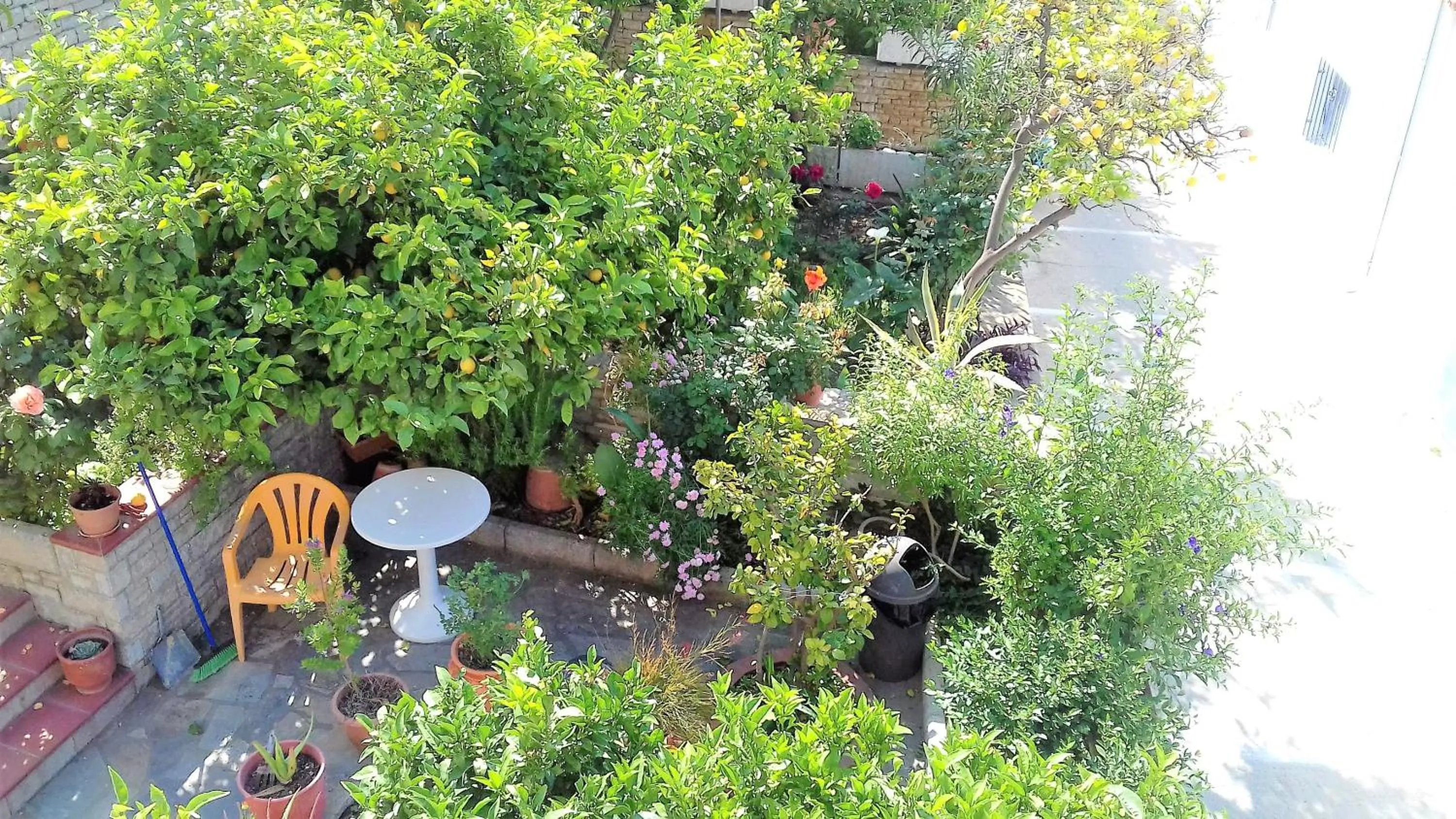 Green Hill Studios & Apartments