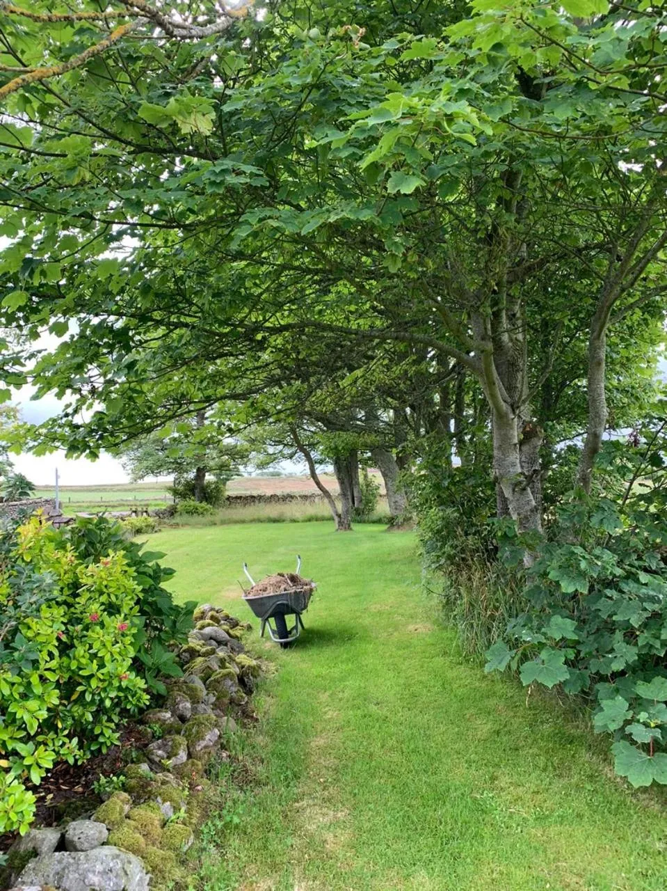 Garden in Crawfield Grange