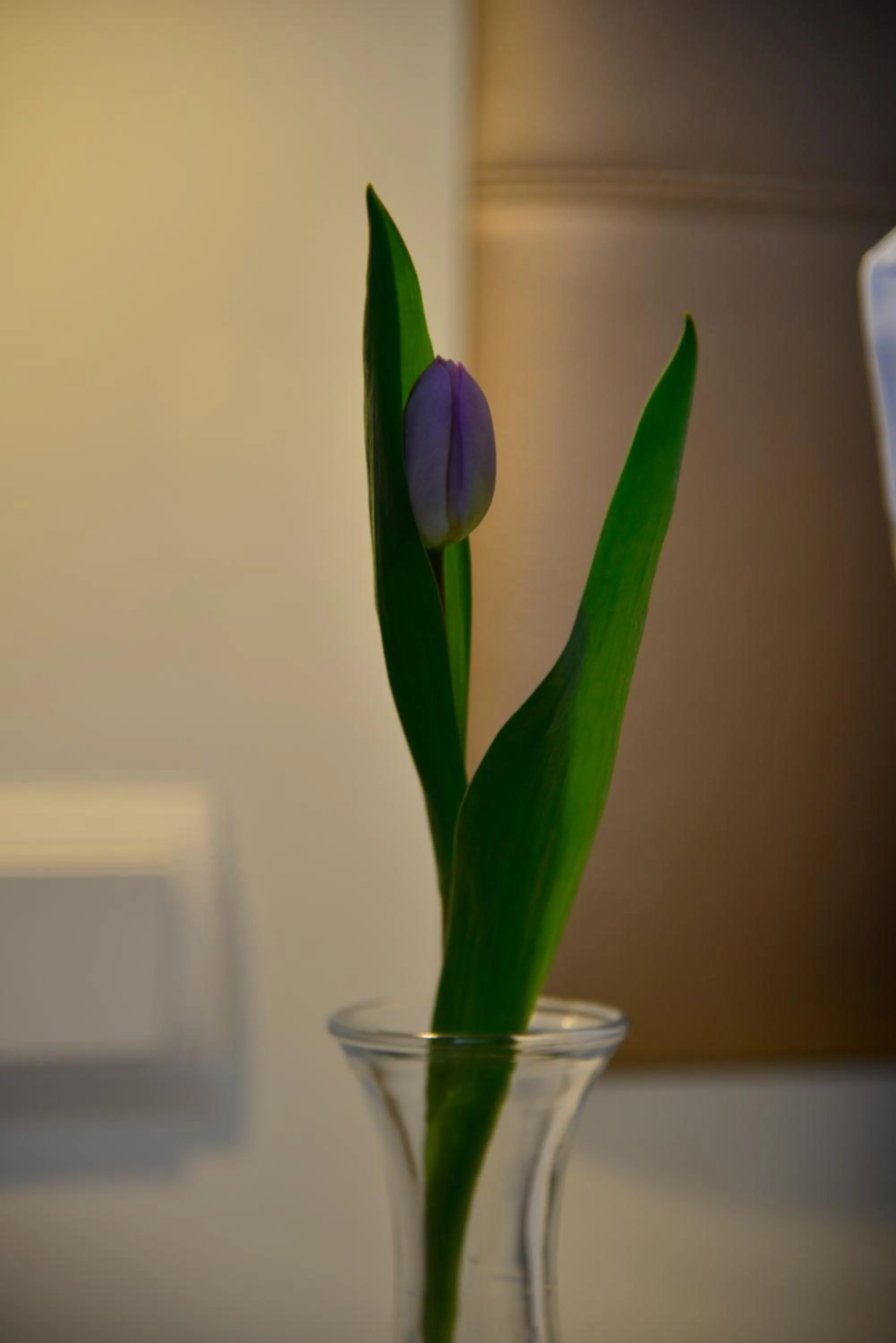 Other in Business Wieland Hotel