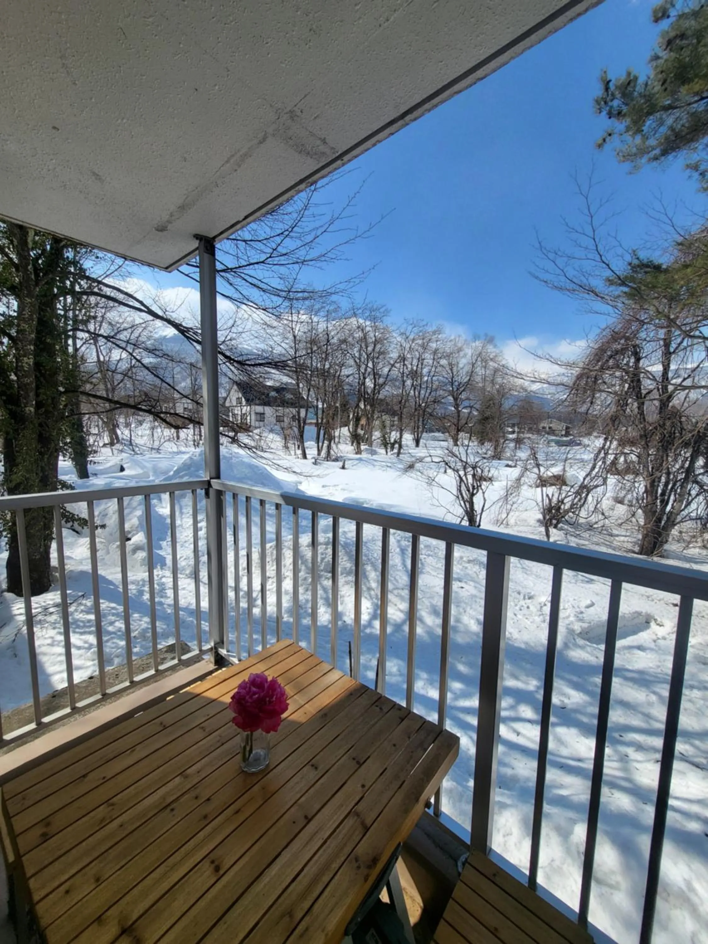 Natural landscape in Hakuba Inn Bloom