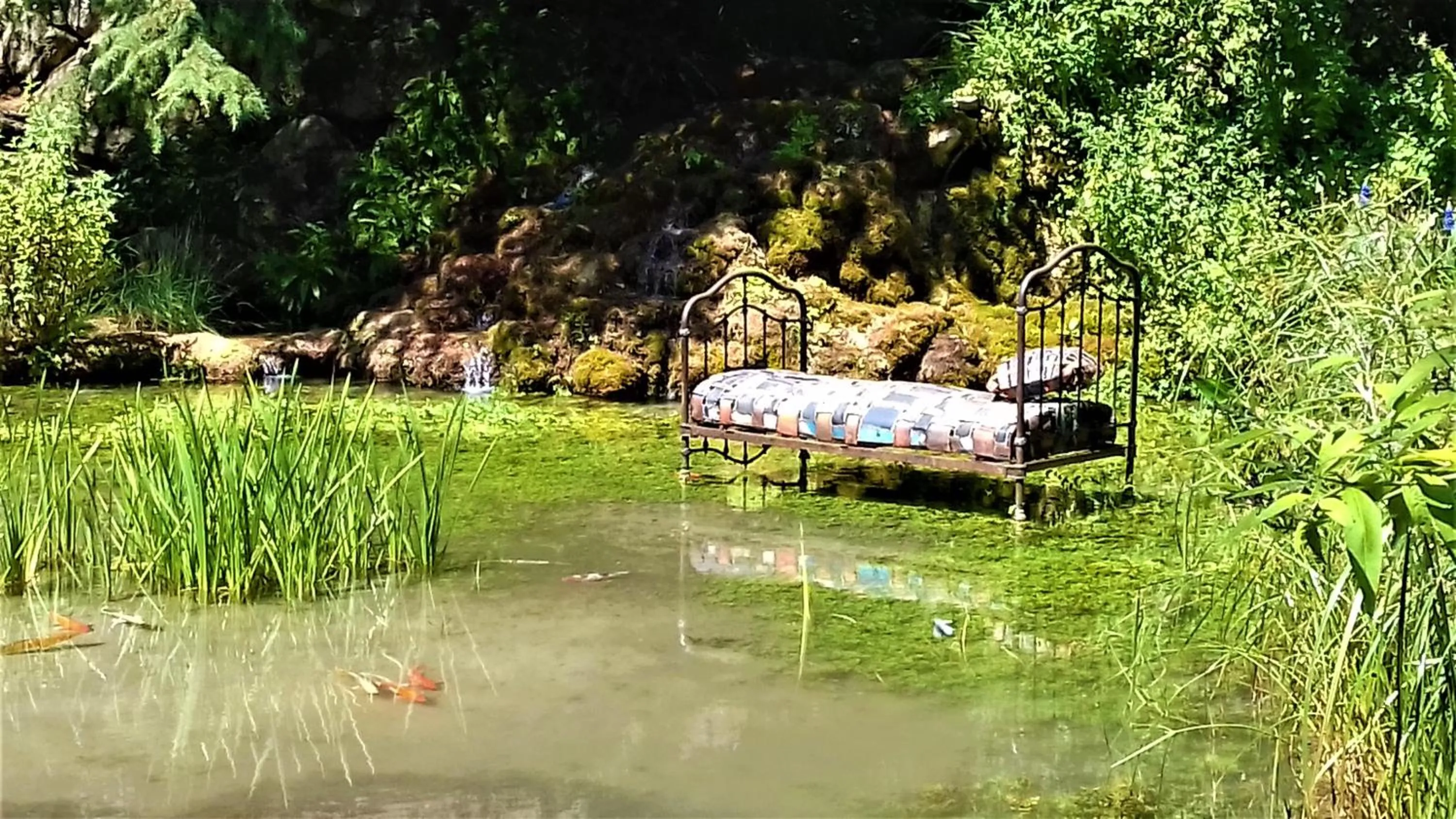 Natural landscape in Chambres au grand calme dans maison
