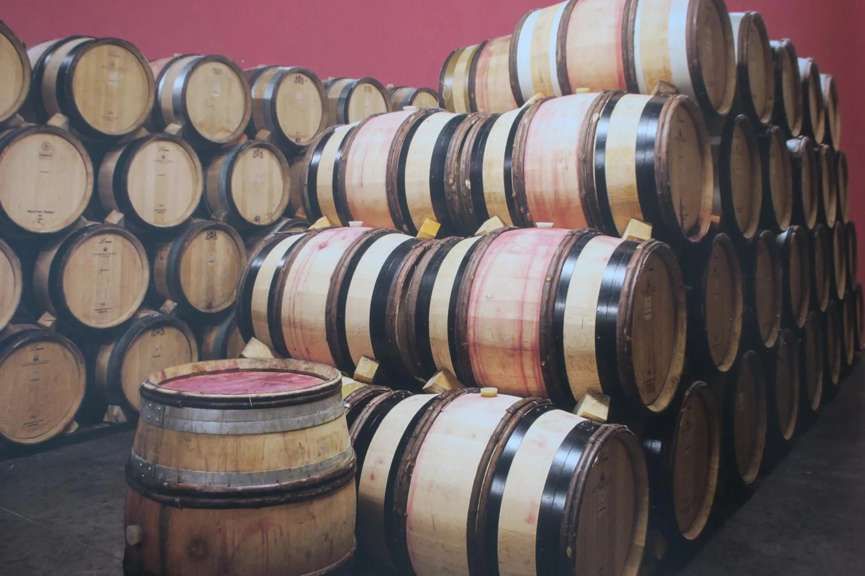 Entertainment in Chambres au grand calme dans maison