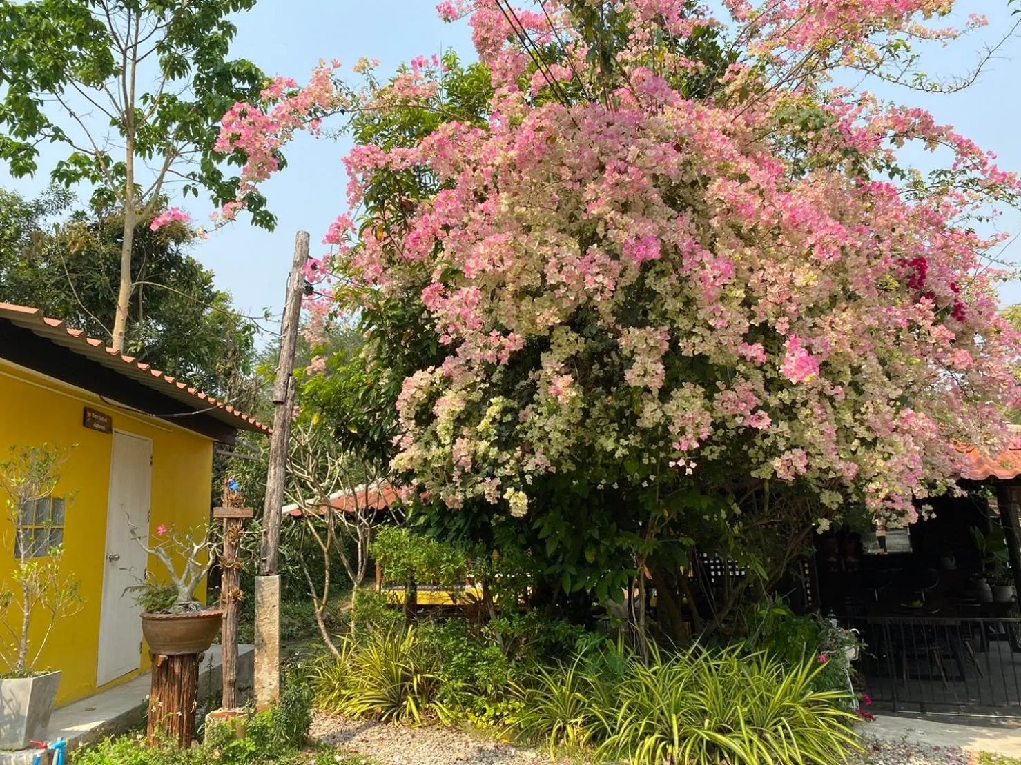 Property building in Nokkamin Home Chiang Dao