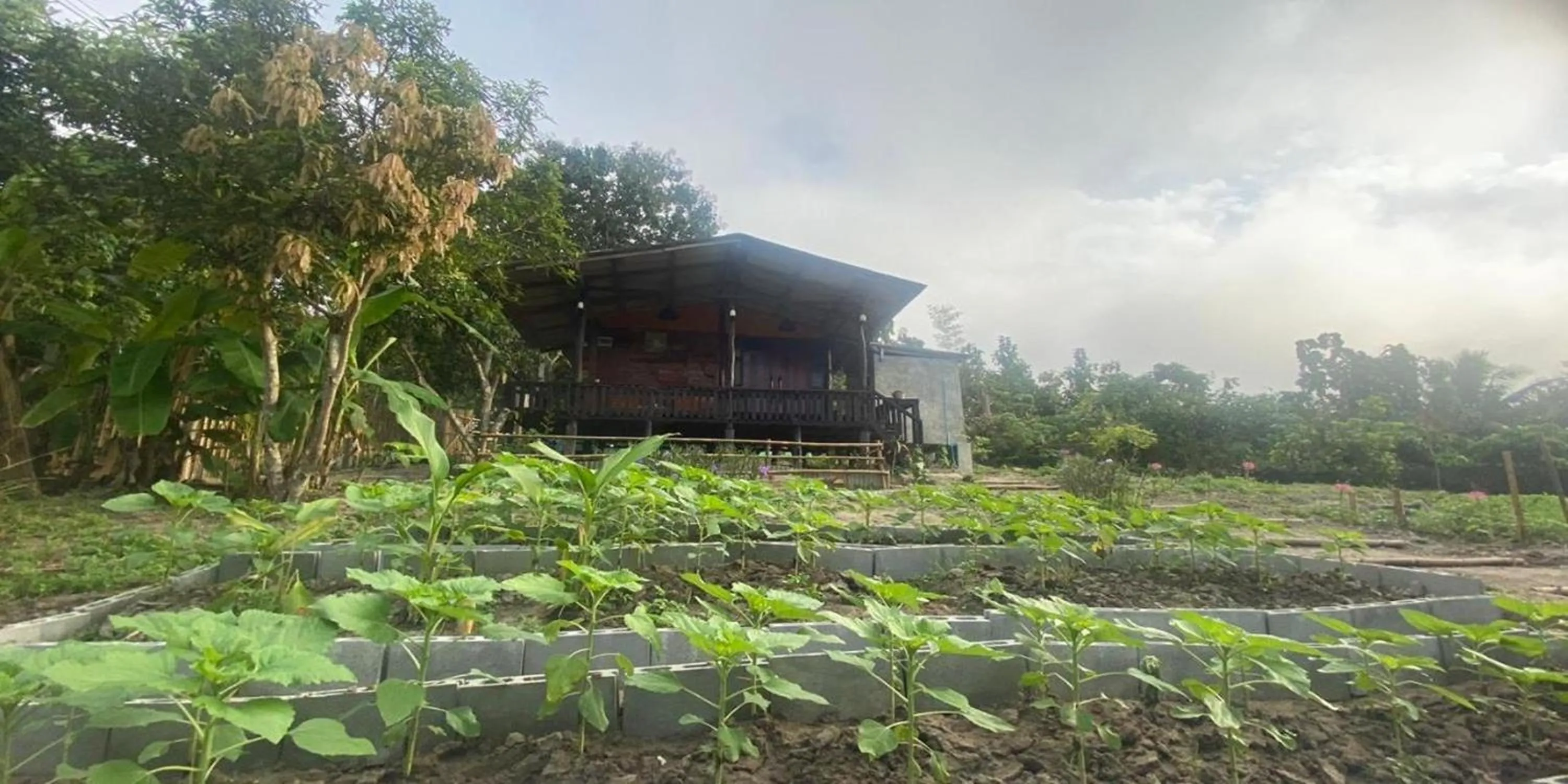 Property building in Nokkamin Home Chiang Dao