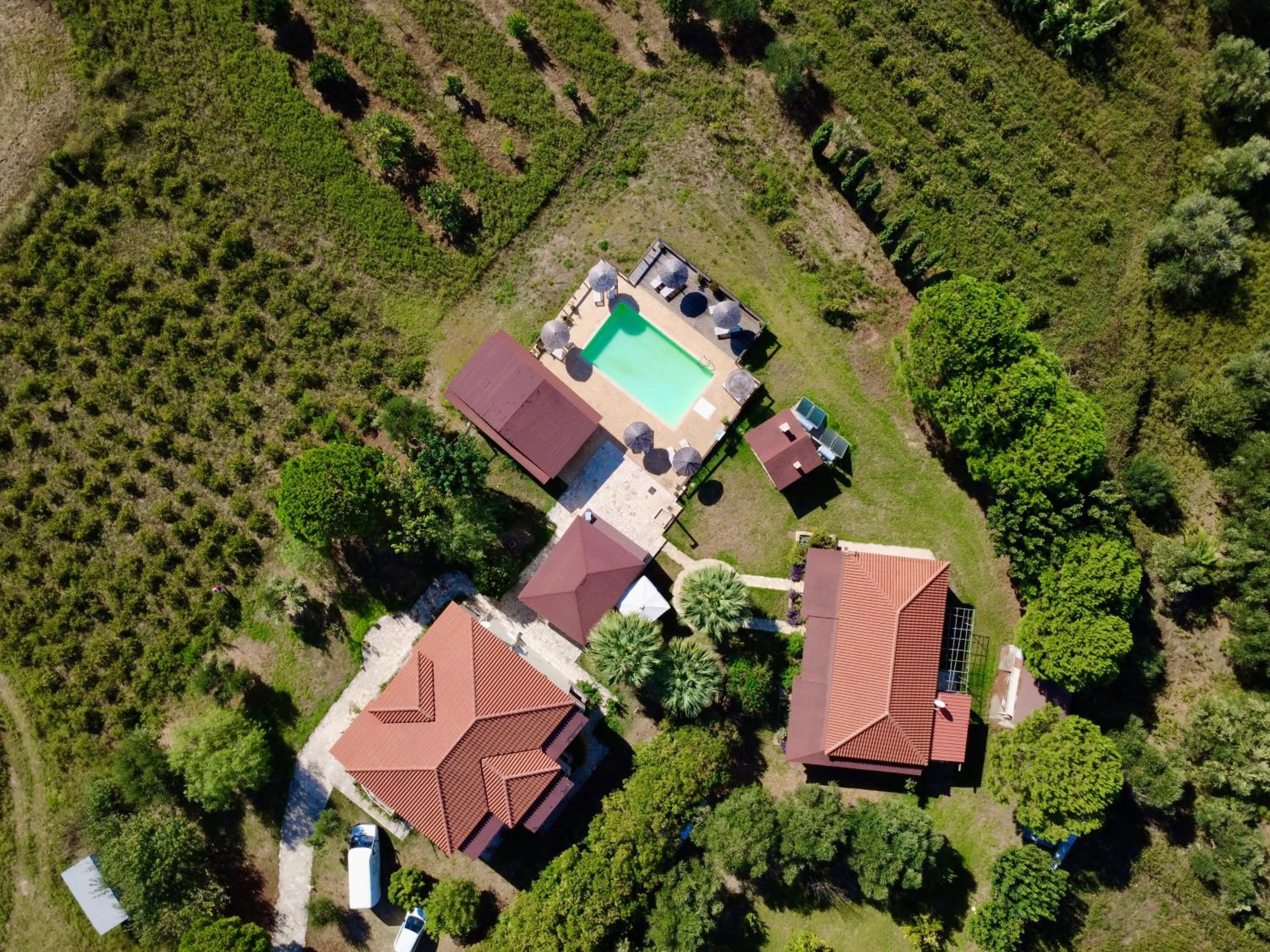 Photo of the whole room in Aggelina's Apartments