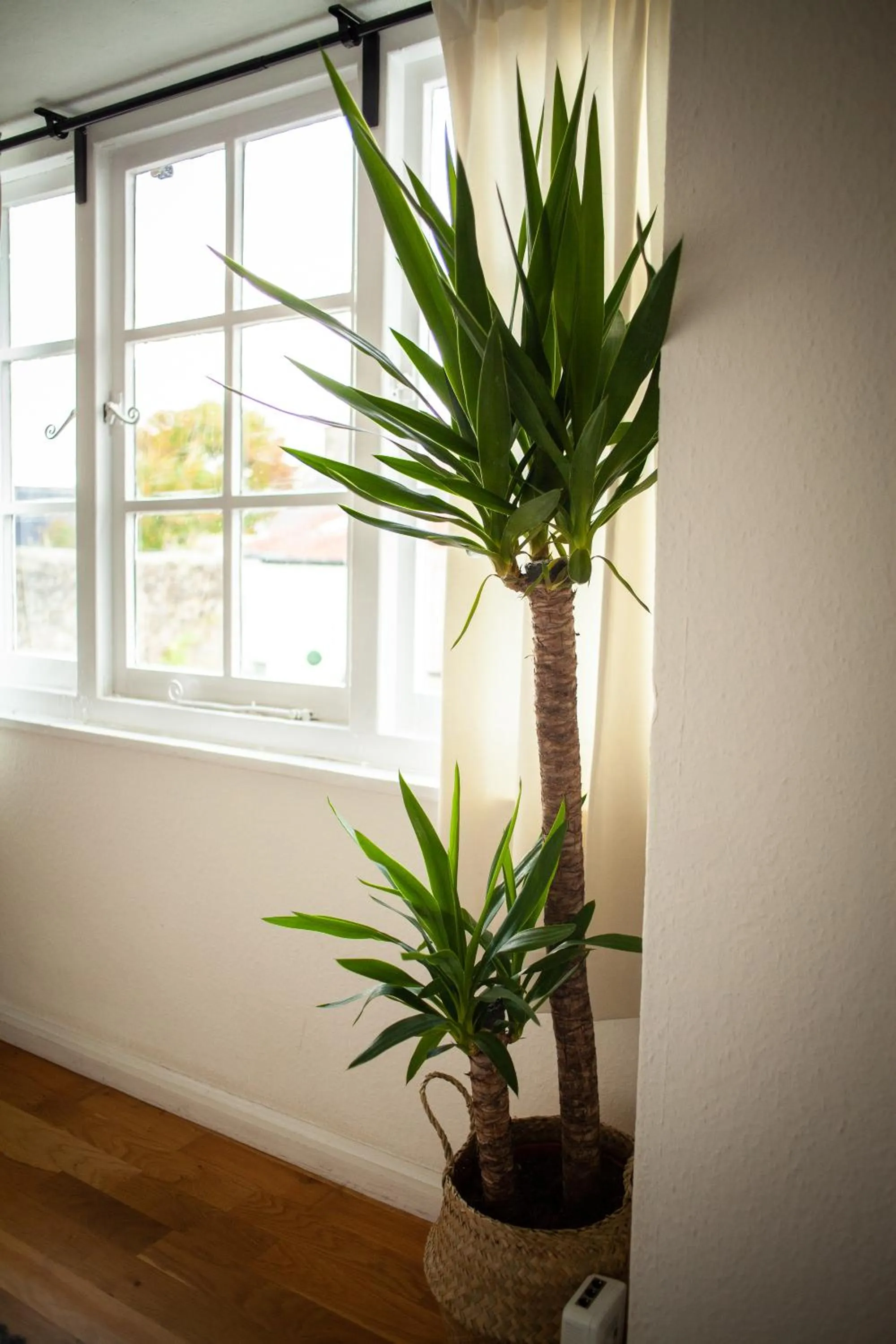 Other in The Chagford Inn