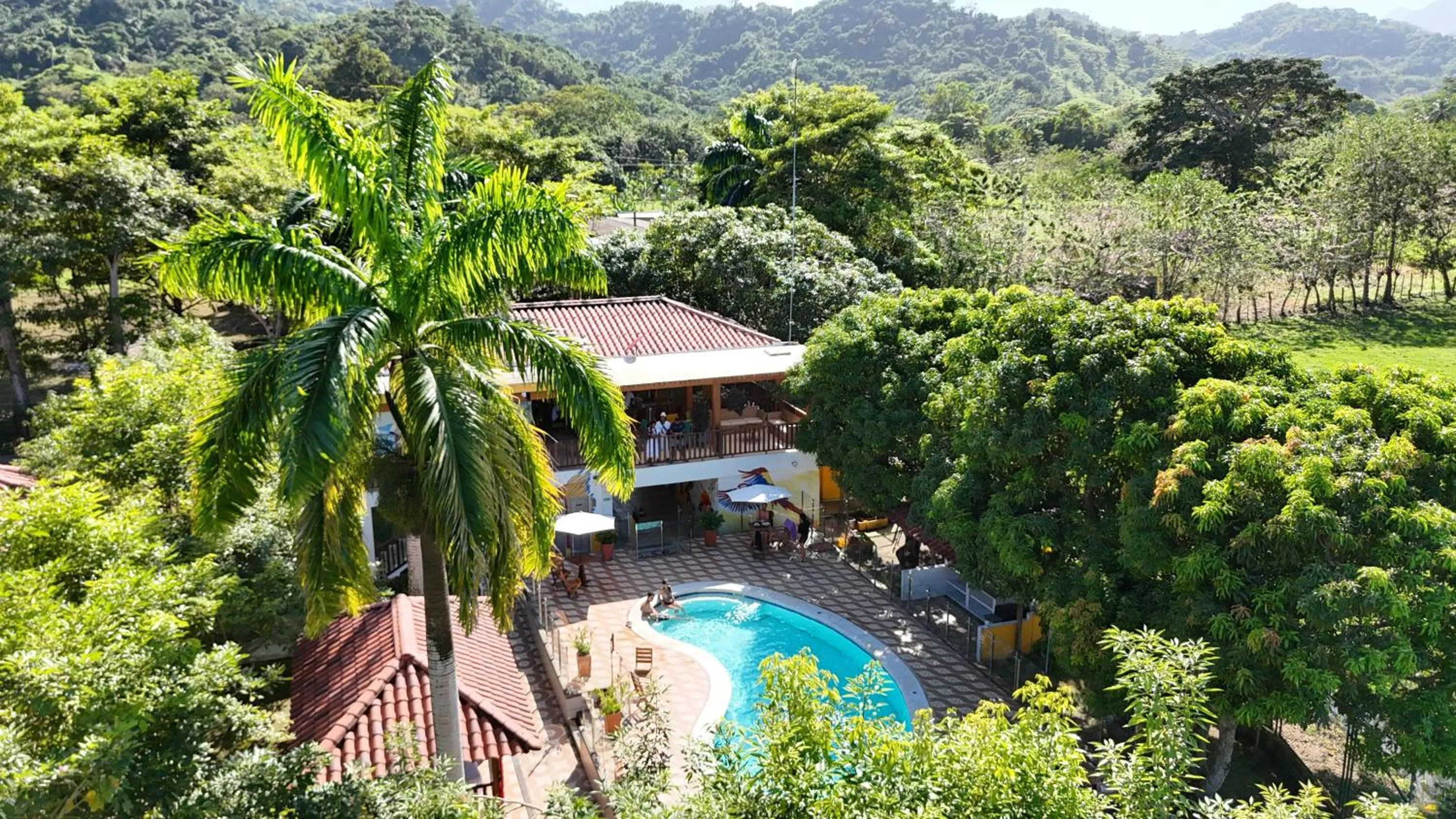 Spring in Senderos del Mar - Tayrona