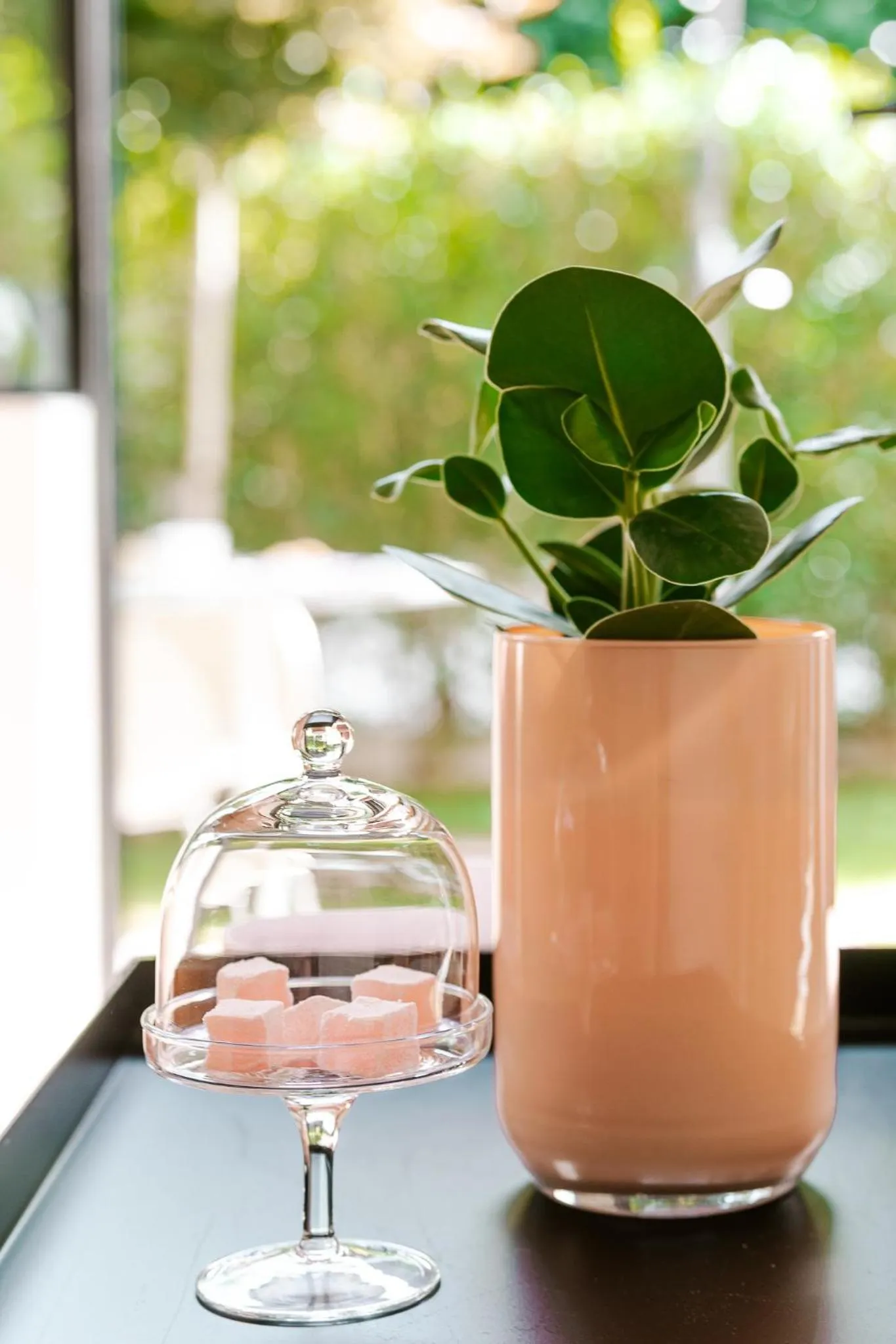 Garden view in BnB Manere