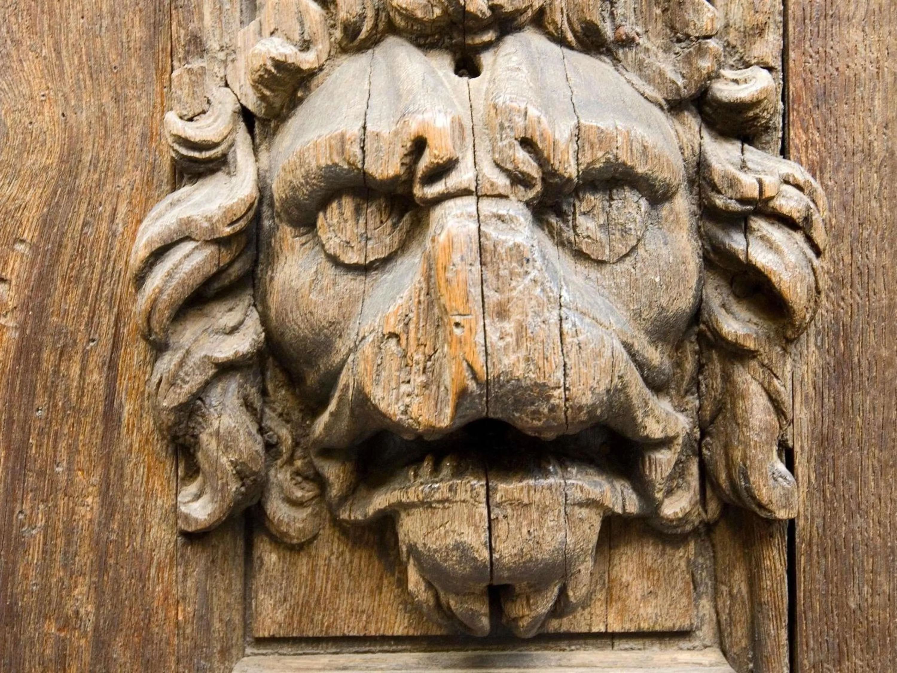 Other in hotelF1 Rouen Zénith Parc Expo