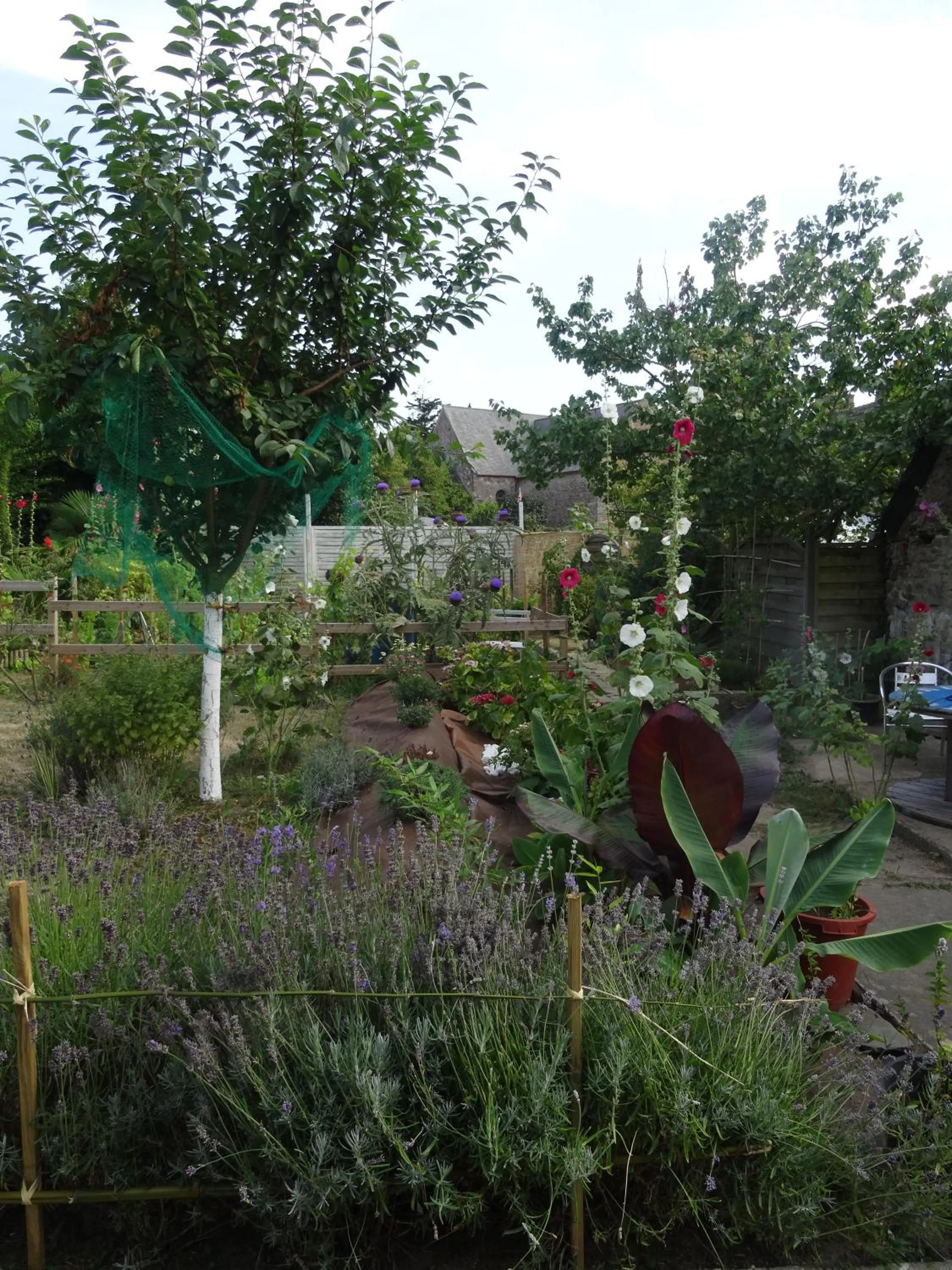 Garden in Studio "LA MEDINA", PISCINE dès le 12 juillet, JARDIN BOTANIQUE, COMMERCES &MER