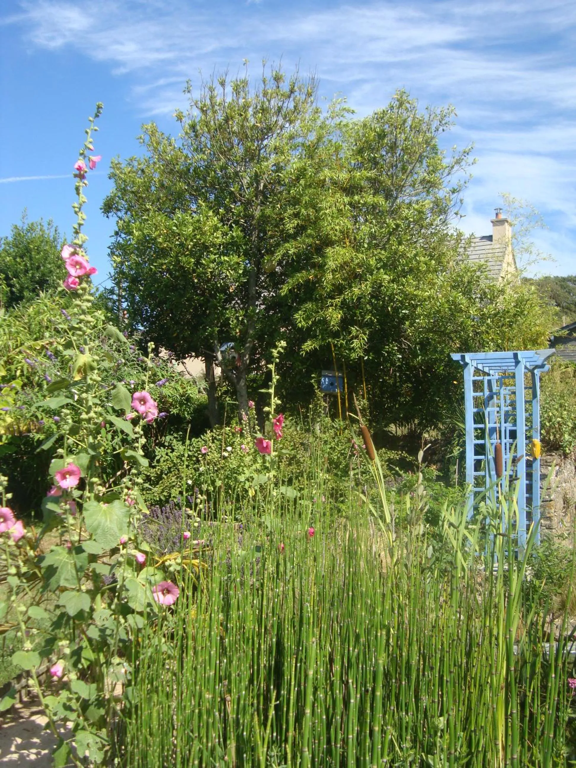 Garden in Studio "LA MEDINA", PISCINE dès le 12 juillet, JARDIN BOTANIQUE, COMMERCES &MER