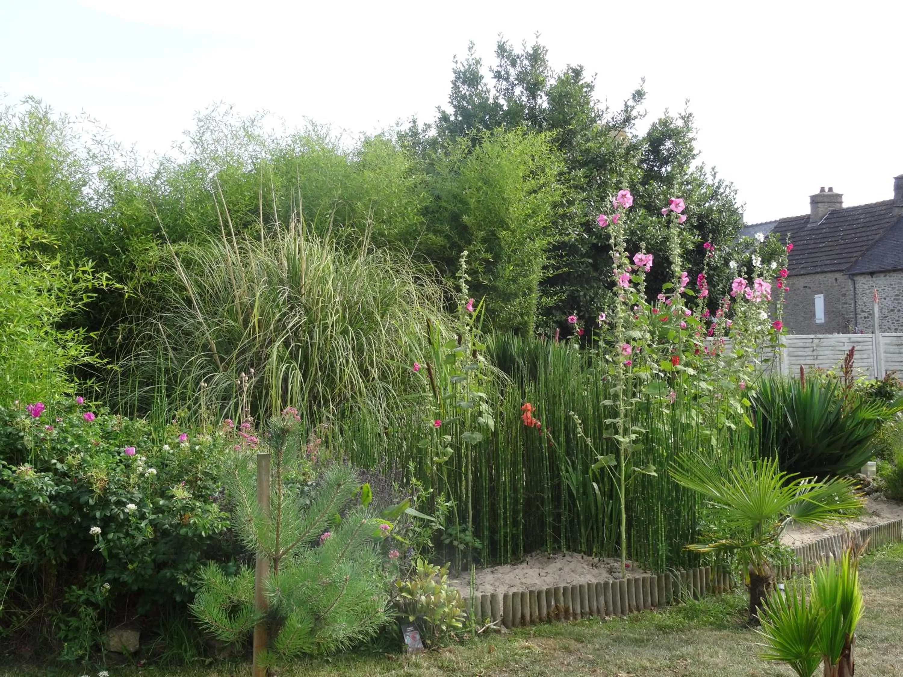 Garden in Studio "LA MEDINA", PISCINE dès le 12 juillet, JARDIN BOTANIQUE, COMMERCES &MER