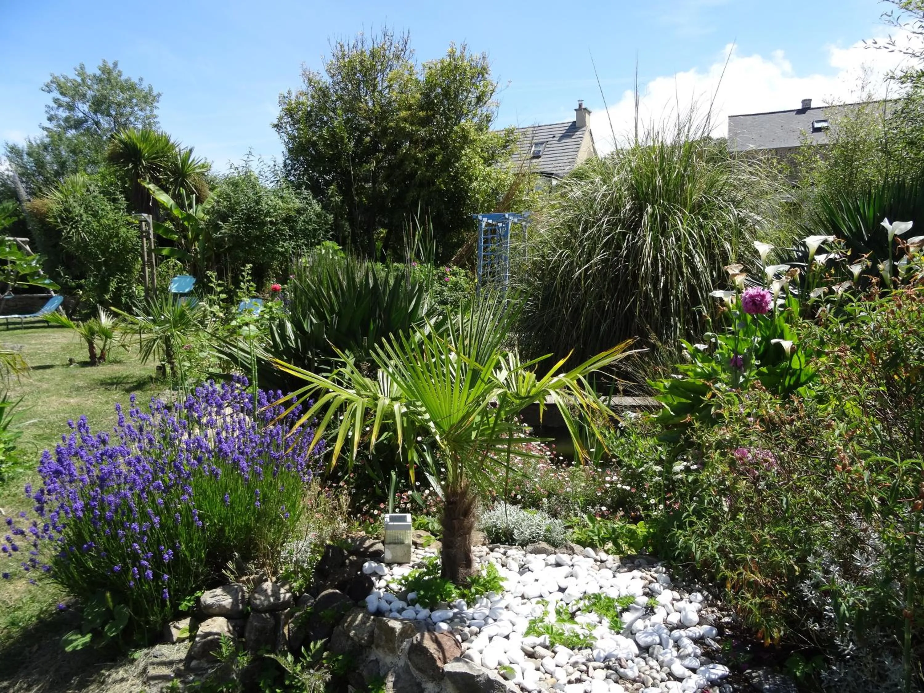 Garden in Studio "LA MEDINA", PISCINE dès le 12 juillet, JARDIN BOTANIQUE, COMMERCES &MER