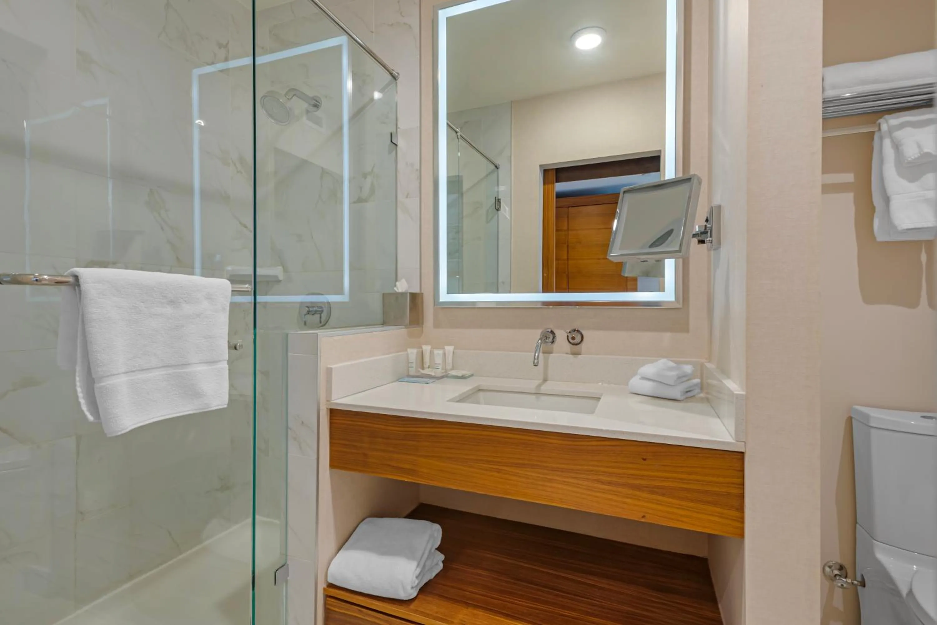 Shower in Radisson Hotel & Conference Centre Calgary Airport