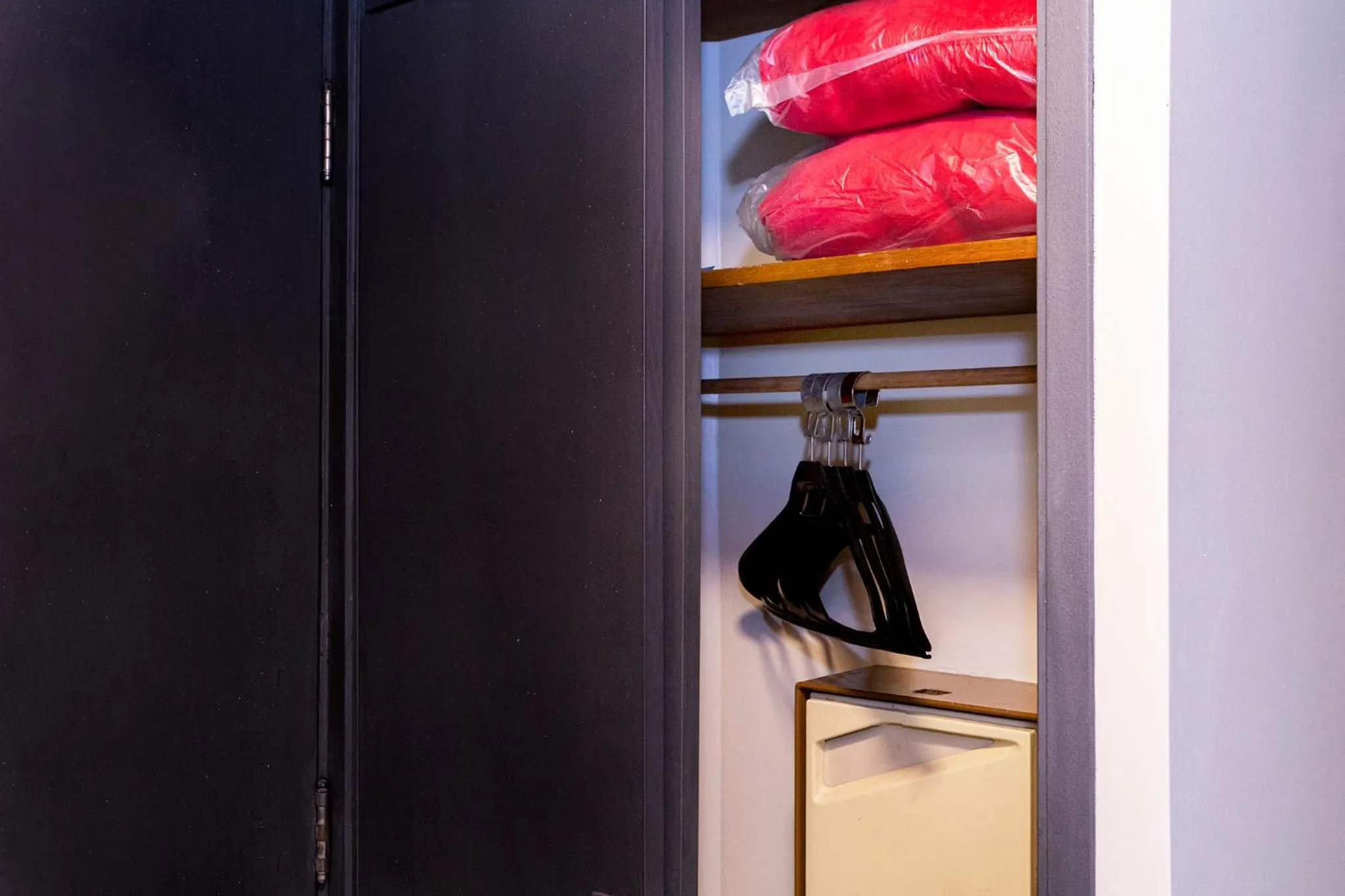 wardrobe in Nikkey Palace Hotel