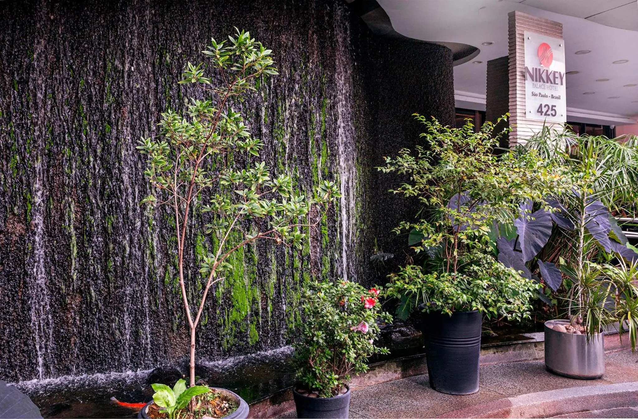 Garden view in Nikkey Palace Hotel