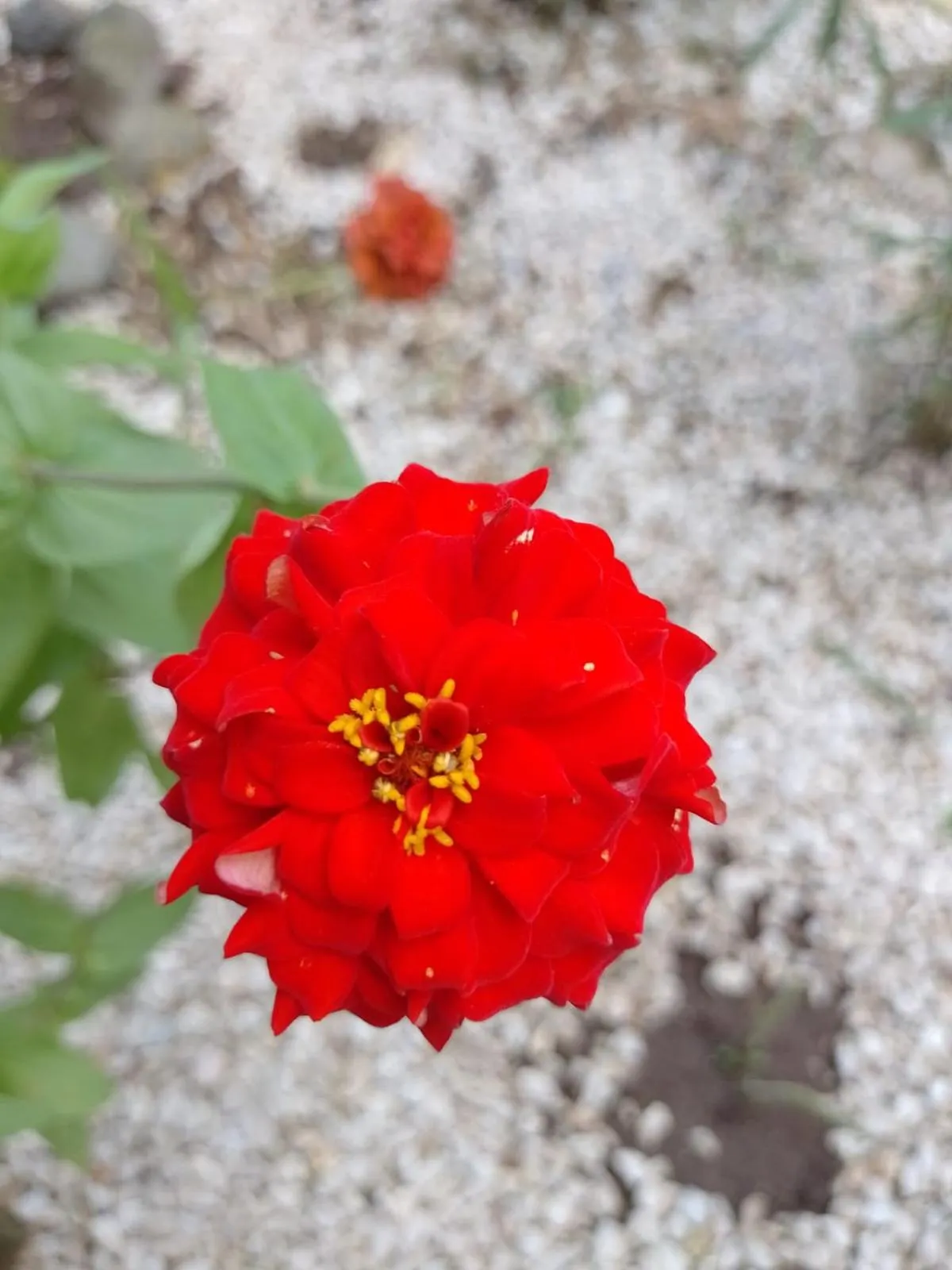 Montelaguna Boutique Hotel