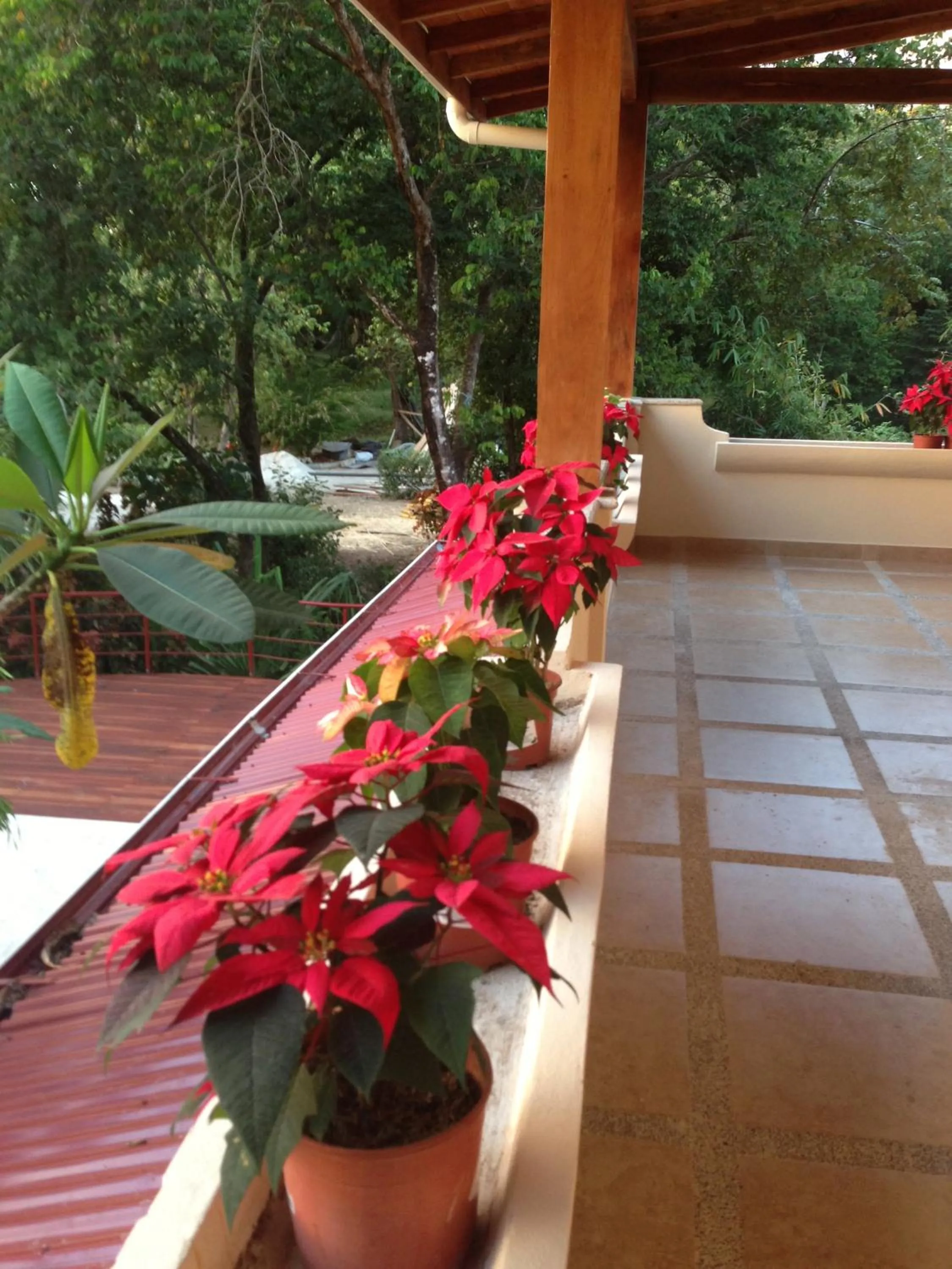 Balcony/Terrace in Montelaguna Boutique Hotel