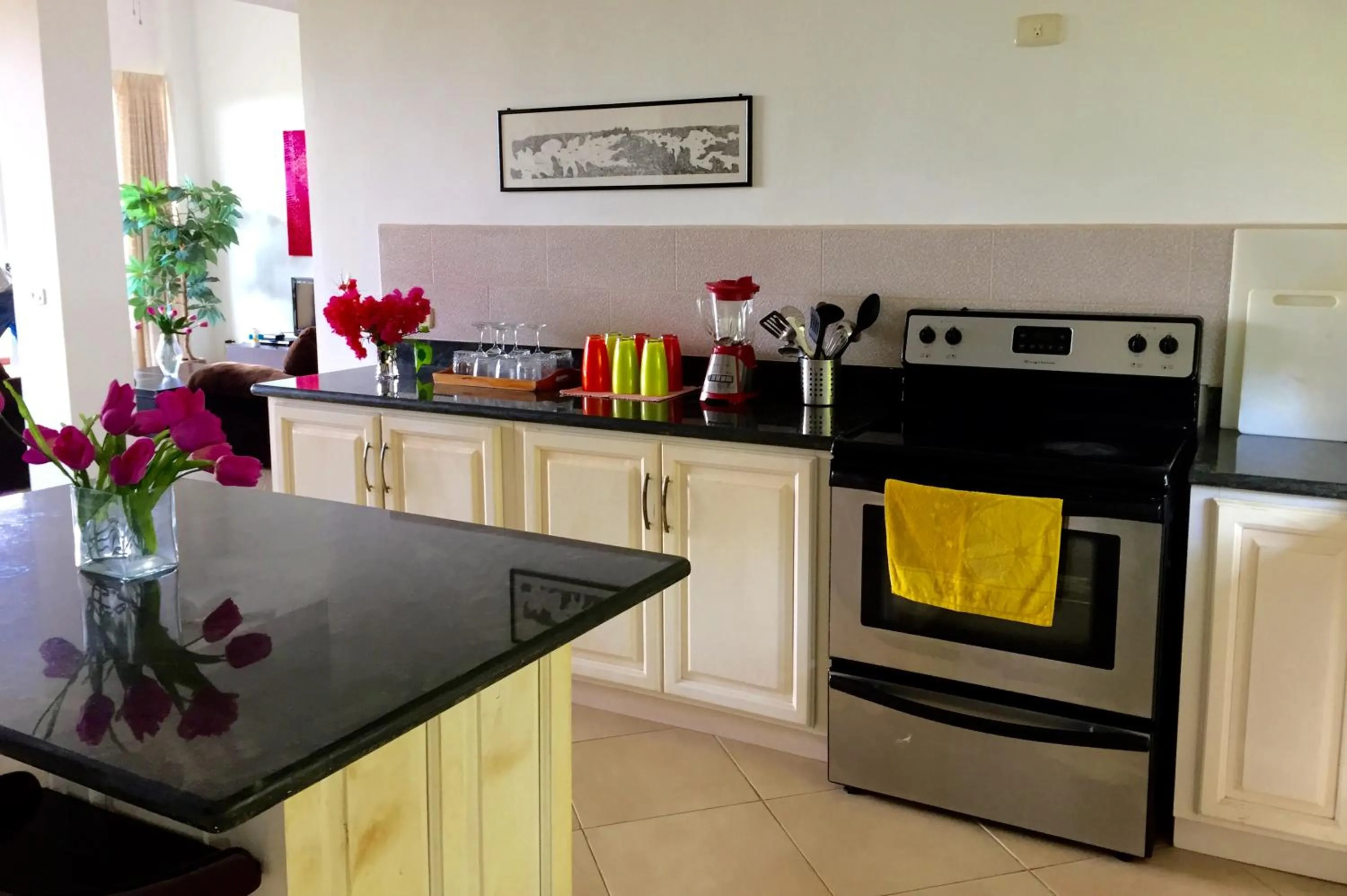 Kitchen or kitchenette in Montelaguna Boutique Hotel