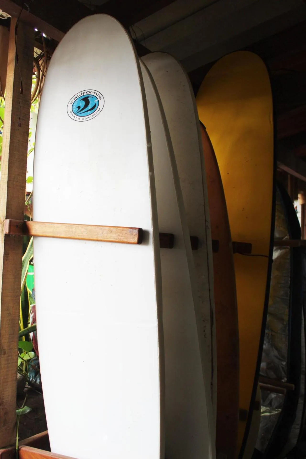 Area and facilities in Olas Permanentes El Zonte