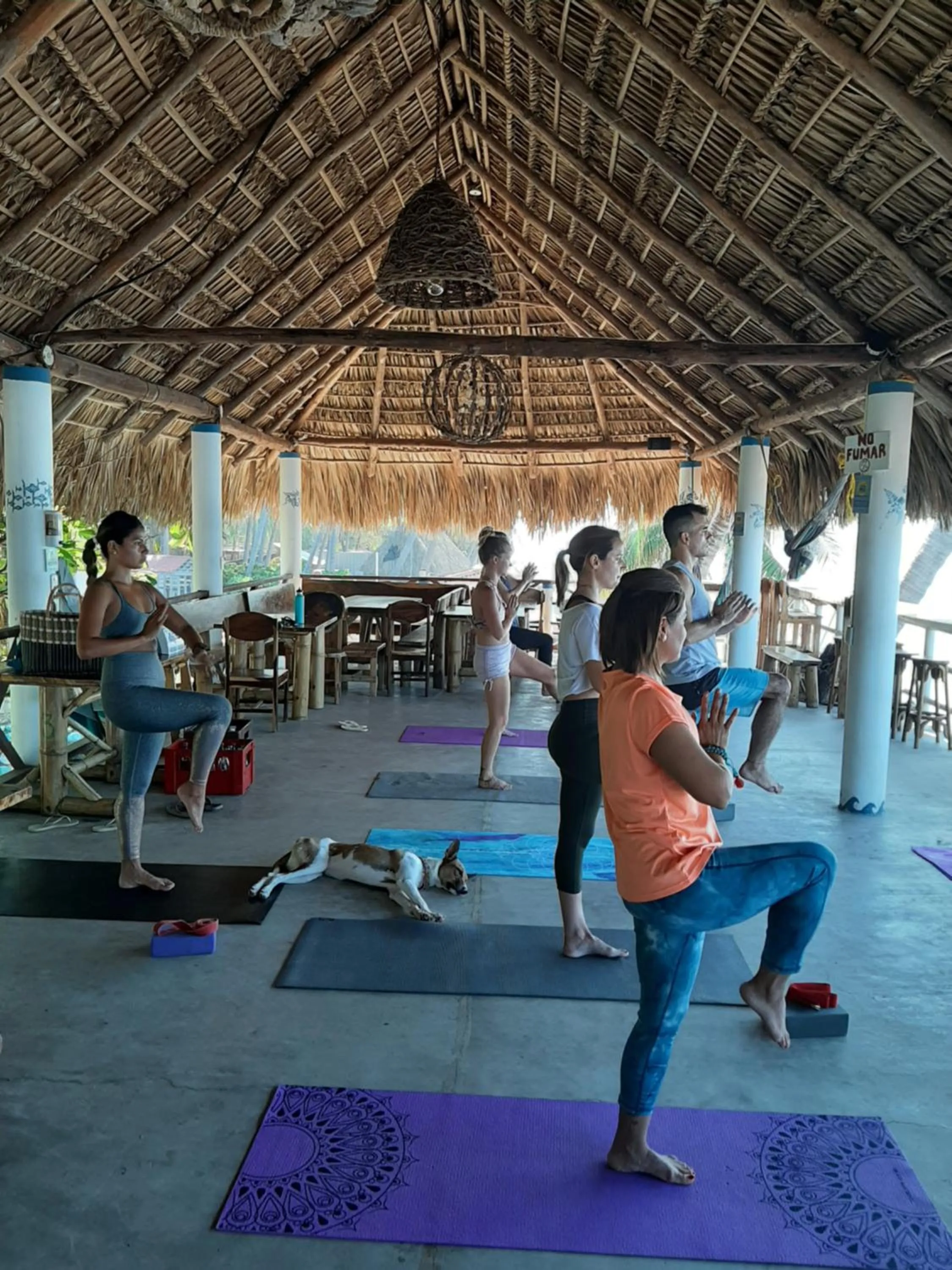 Activities in Olas Permanentes El Zonte