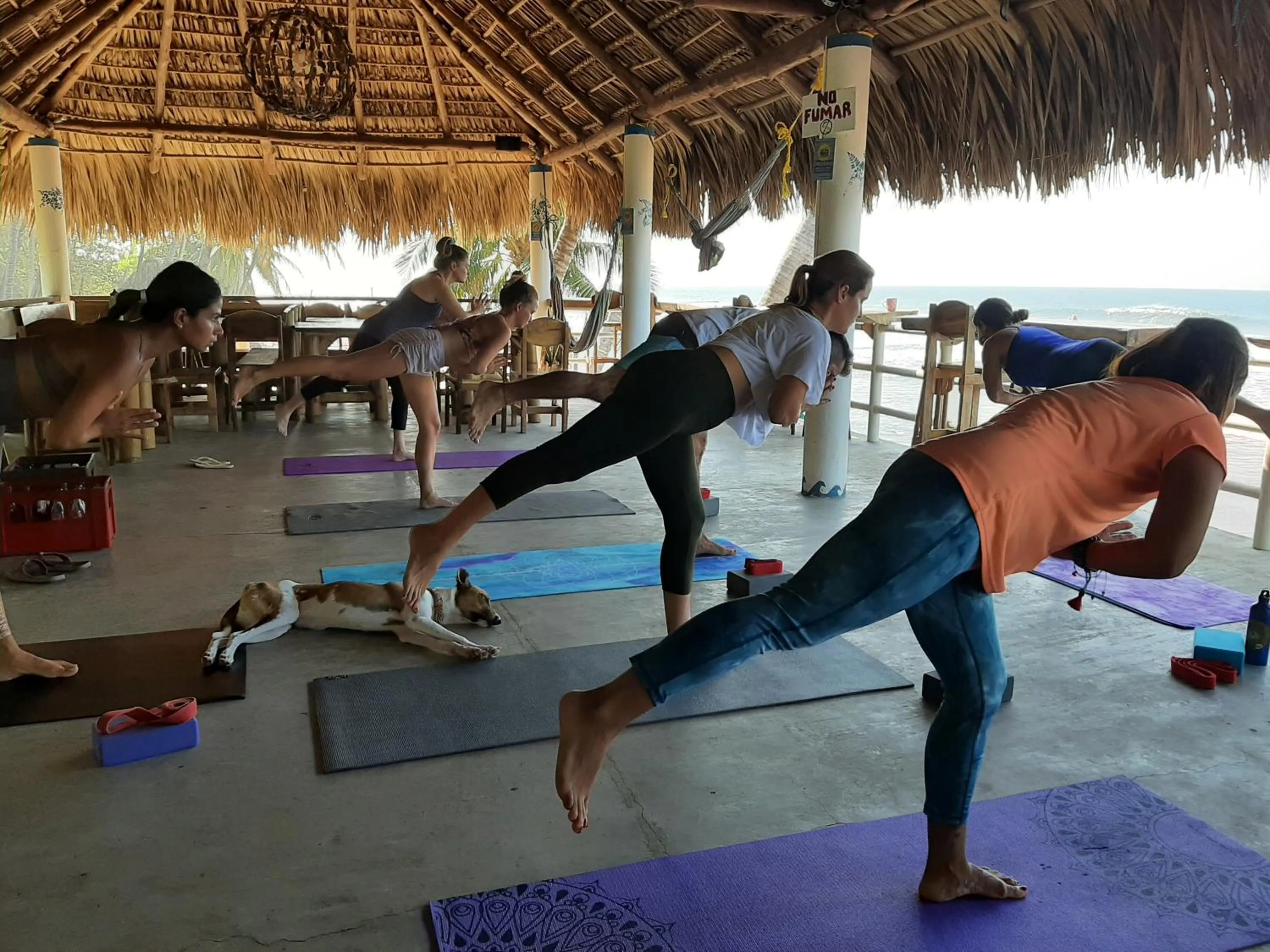 Activities in Olas Permanentes El Zonte