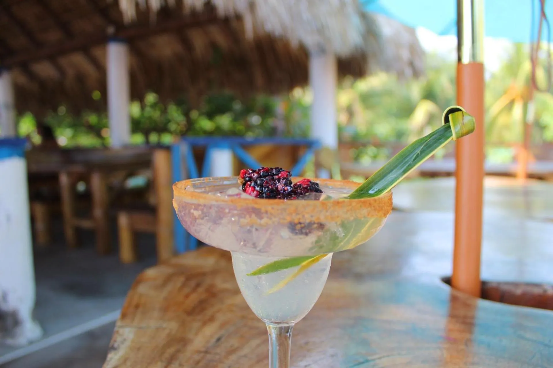 Drinks in Olas Permanentes El Zonte